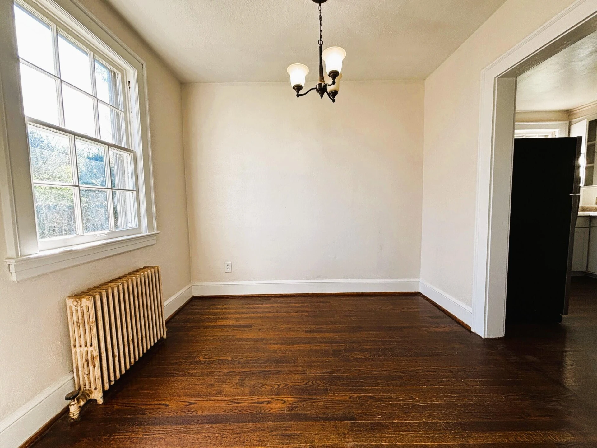 902 Whitney AVE NW - Photo 4