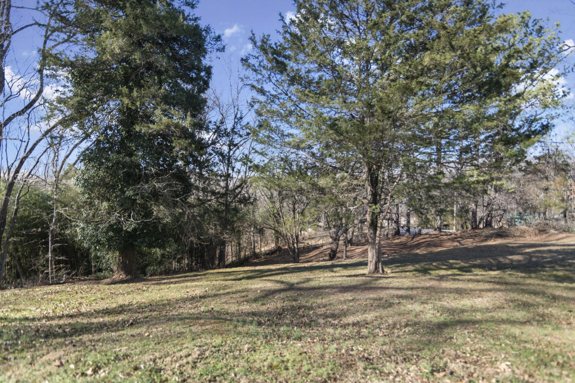 525 Monticello AVE - Photo 34