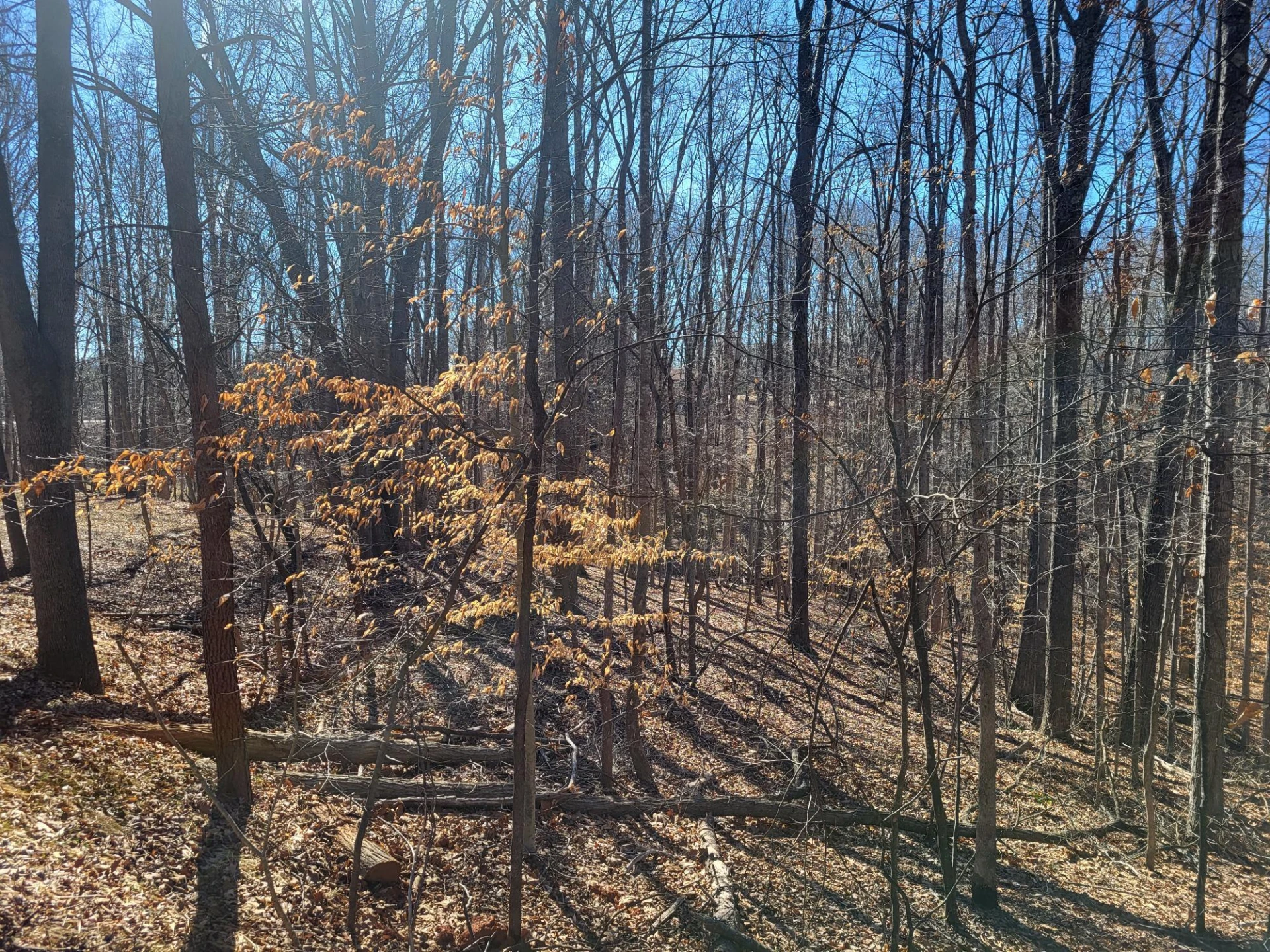 0 Ridgeway CT - Photo 5