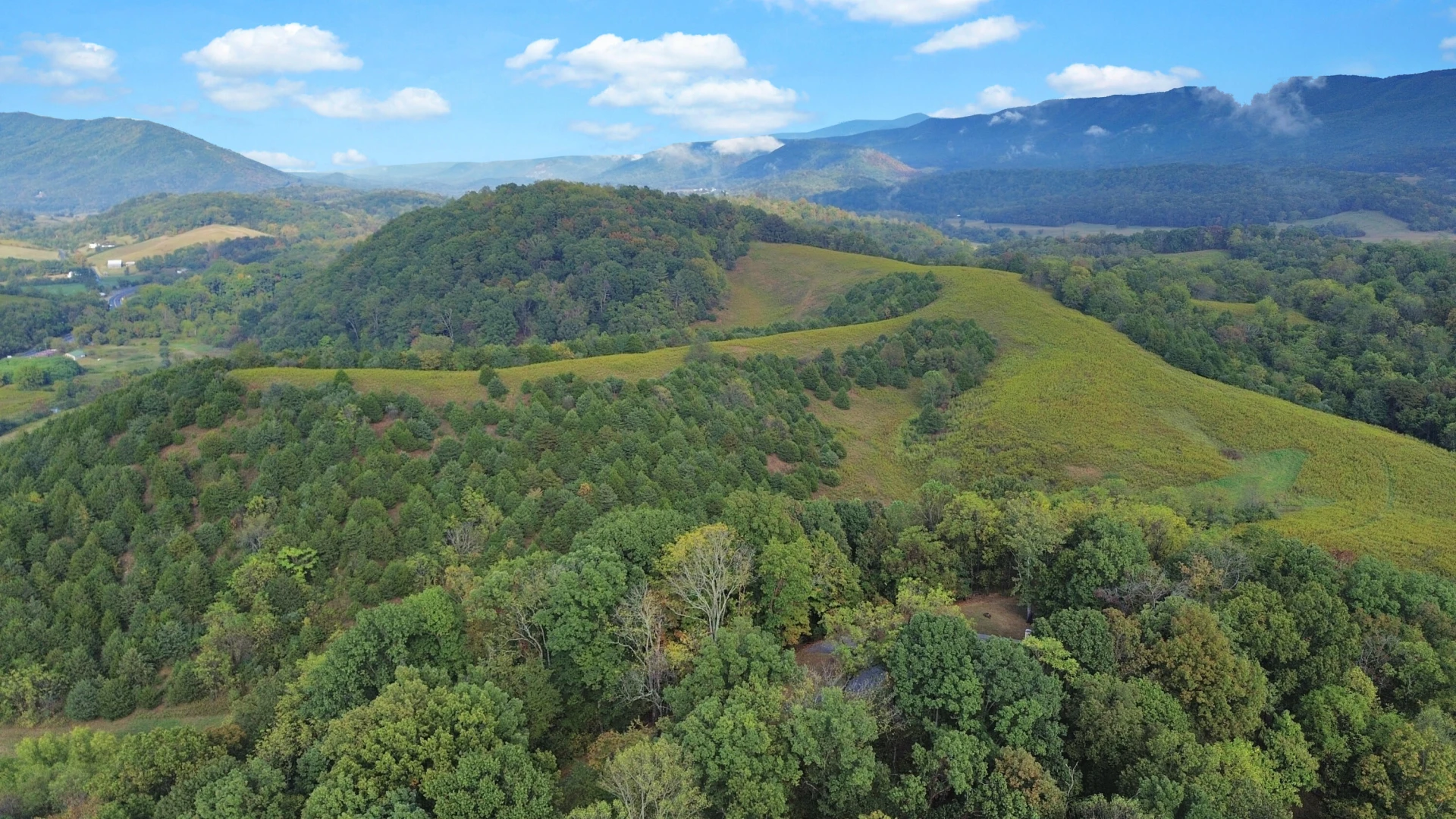 411 Hardbarger RD - Photo 10