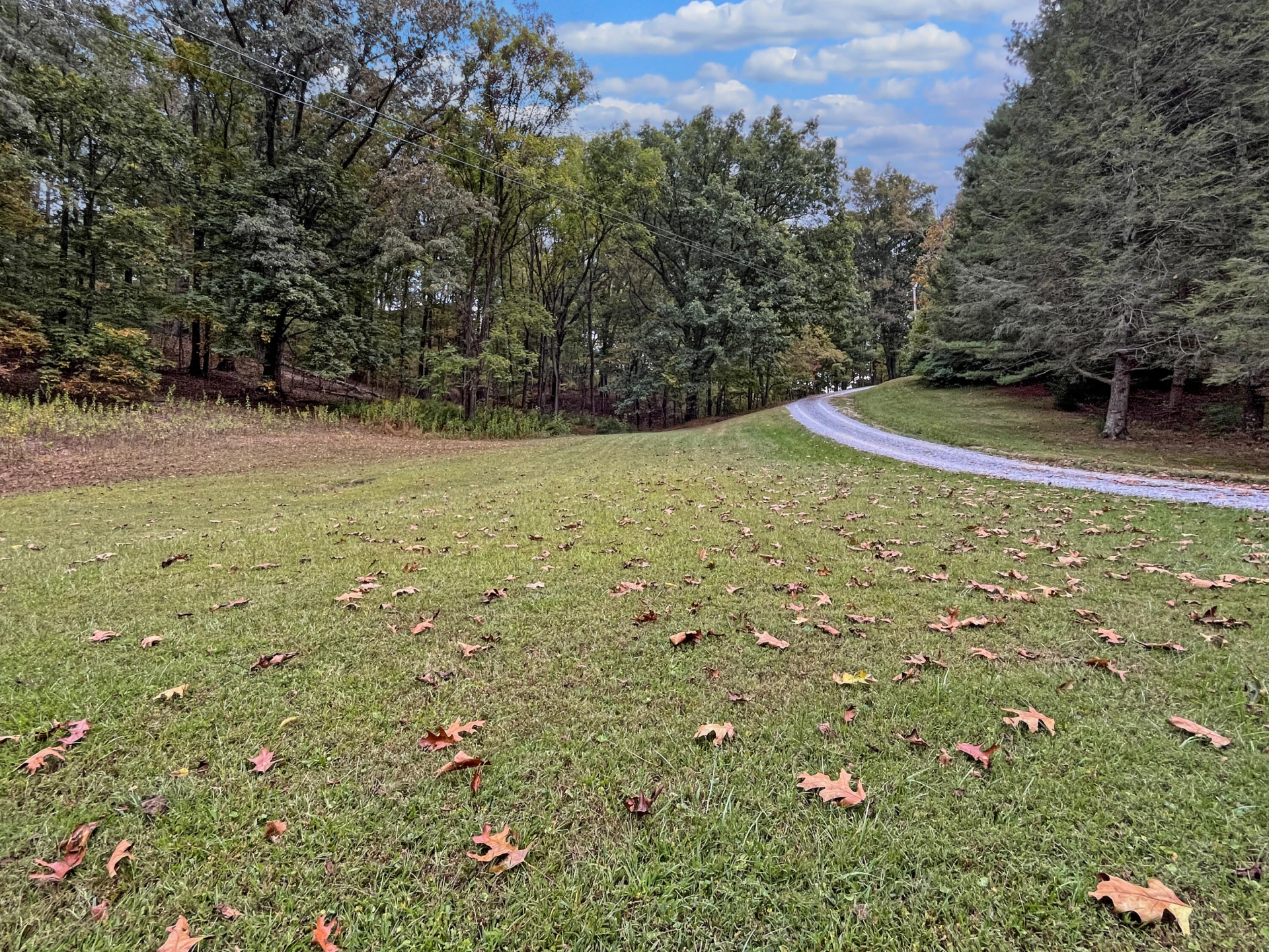 411 Hardbarger RD - Photo 63
