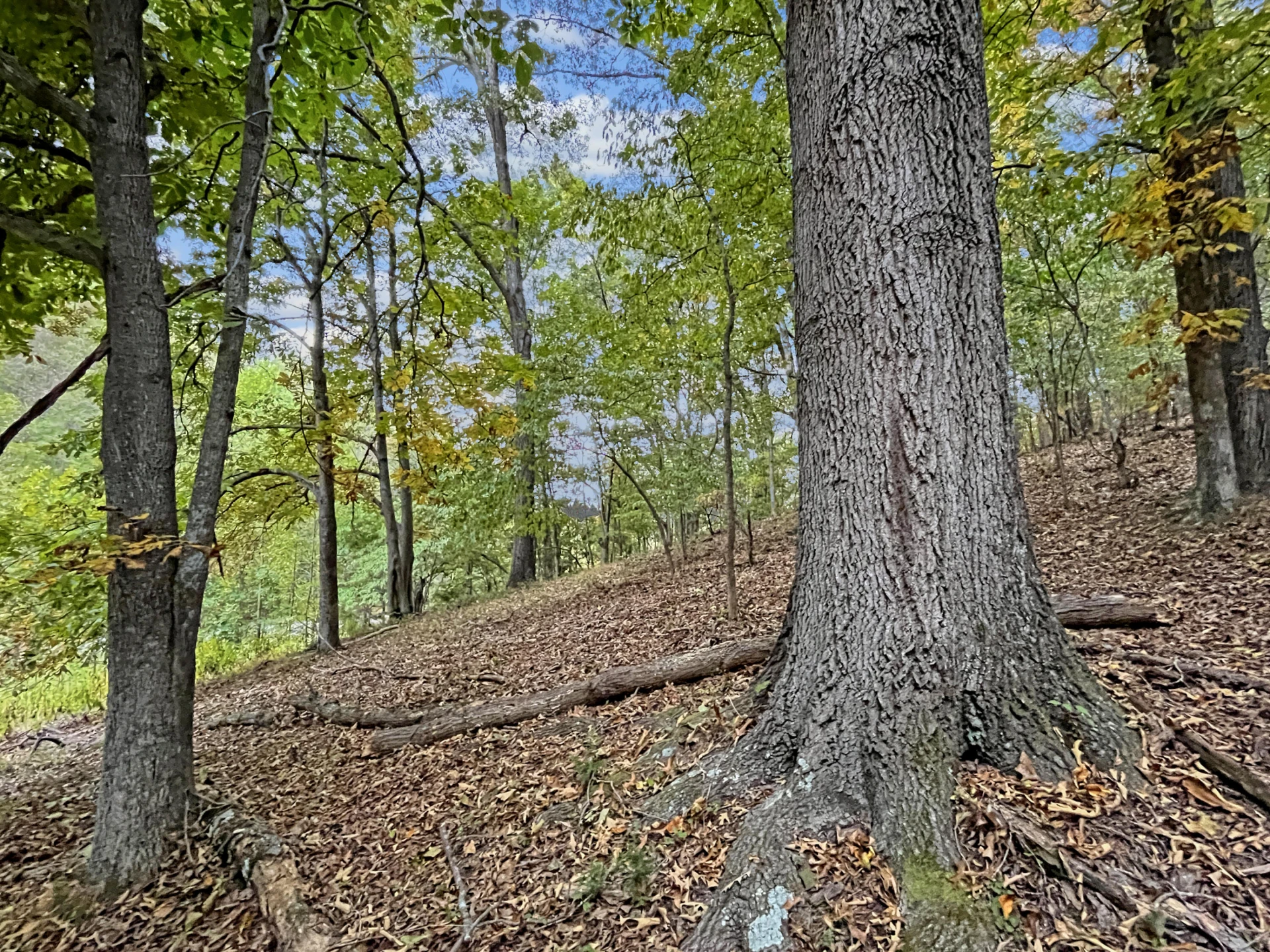 411 Hardbarger RD - Photo 75