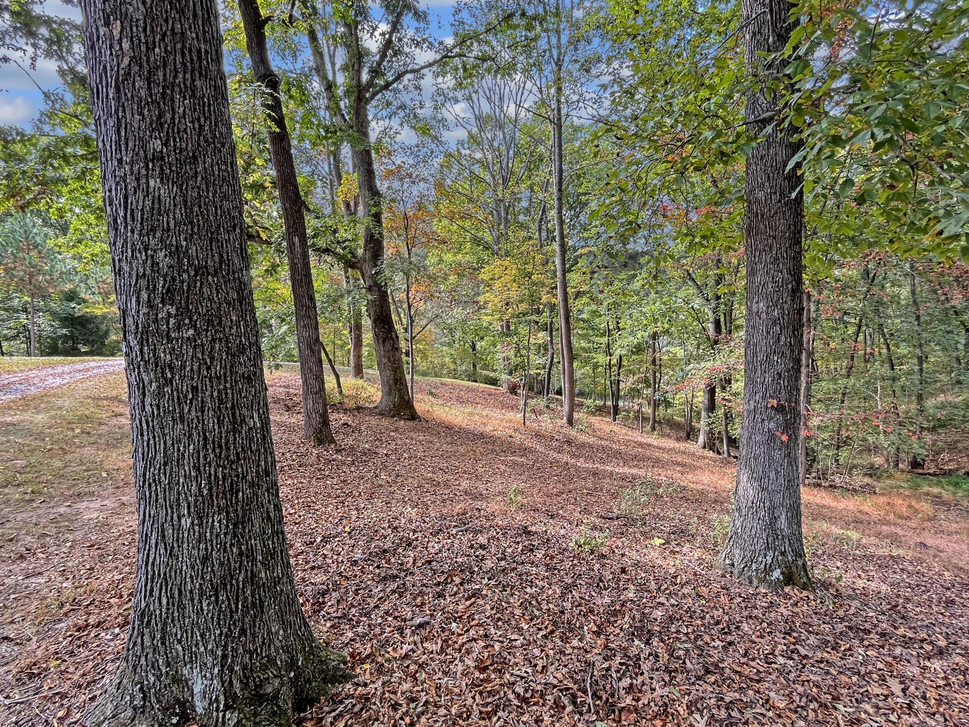 411 Hardbarger RD - Photo 76