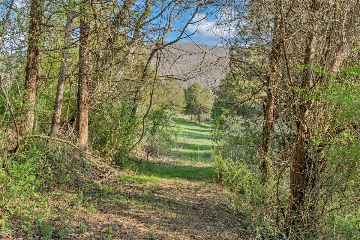 484 Mill Pointe RD - Photo 42