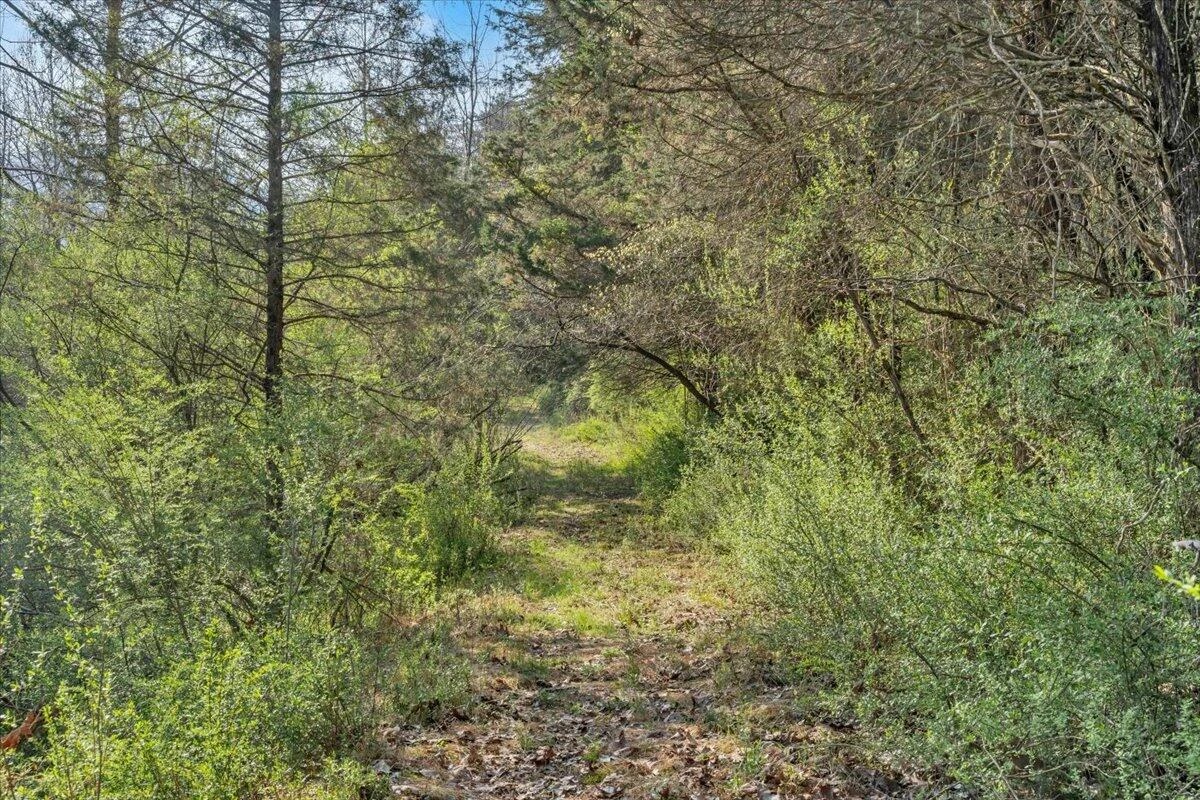 484 Mill Pointe RD - Photo 43