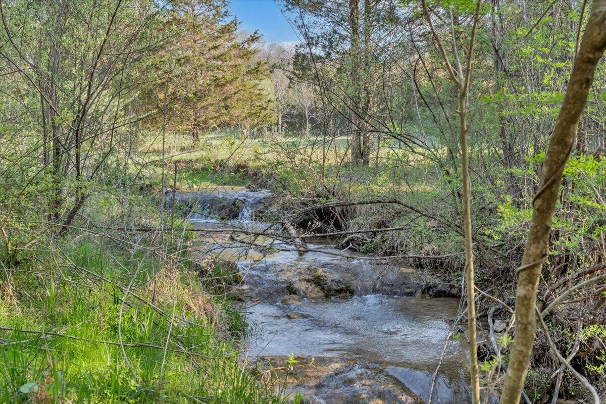 484 Mill Pointe RD - Photo 44