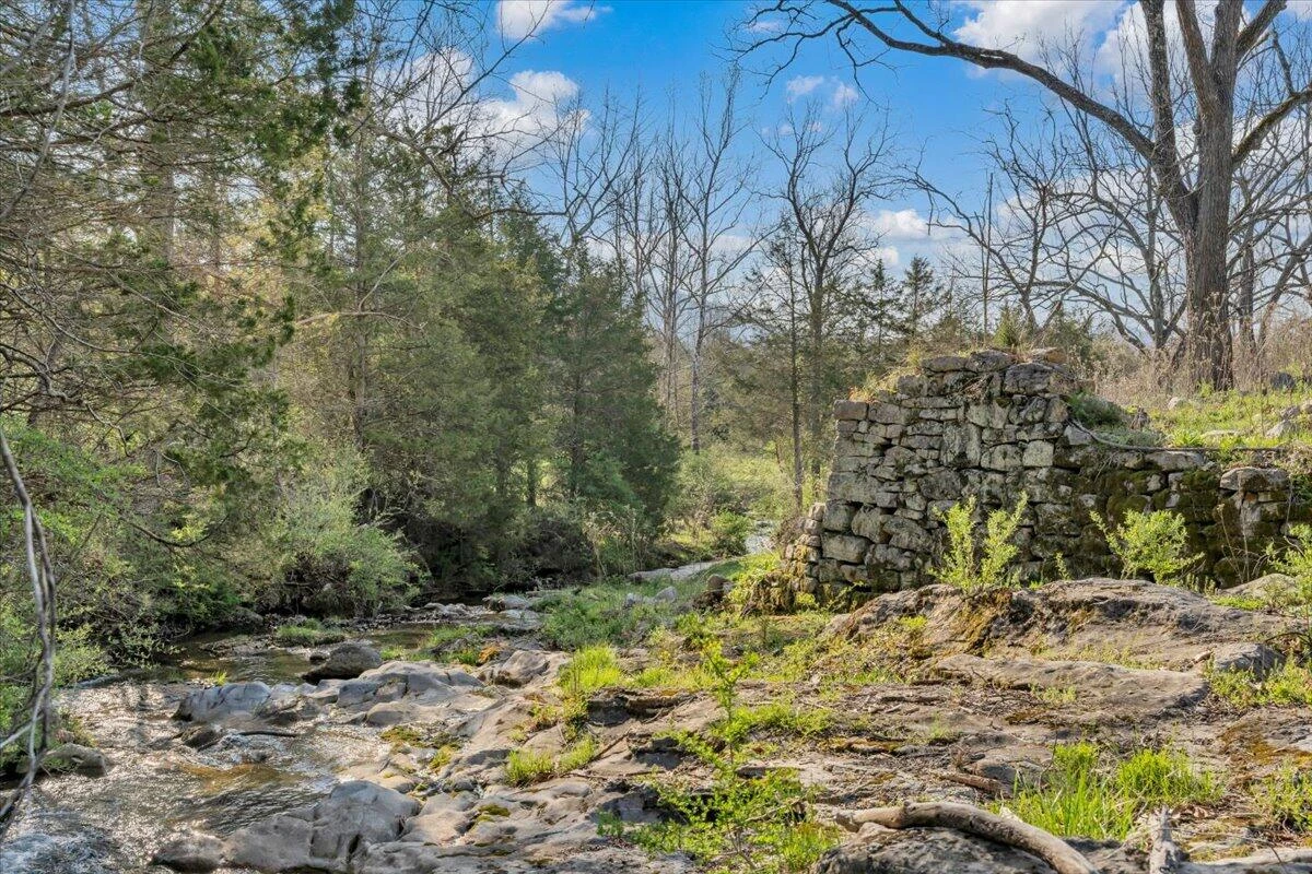 484 Mill Pointe RD - Photo 51