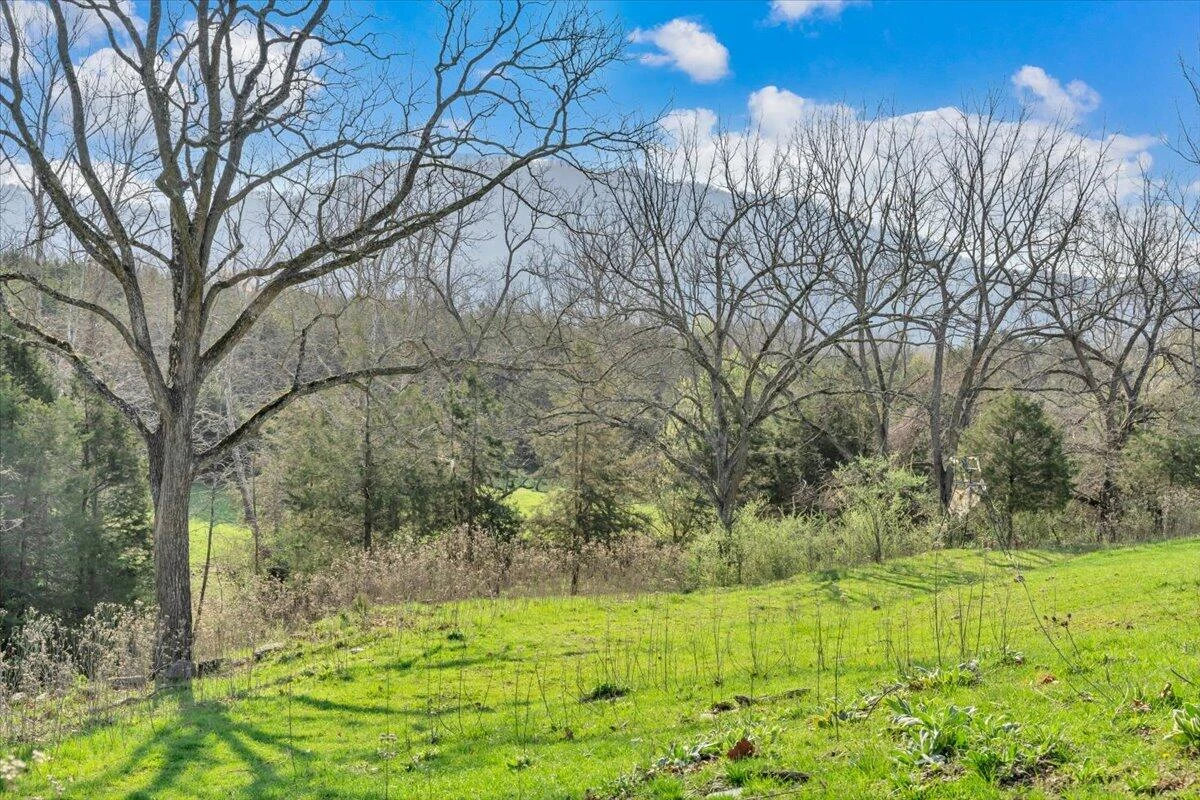 484 Mill Pointe RD - Photo 54