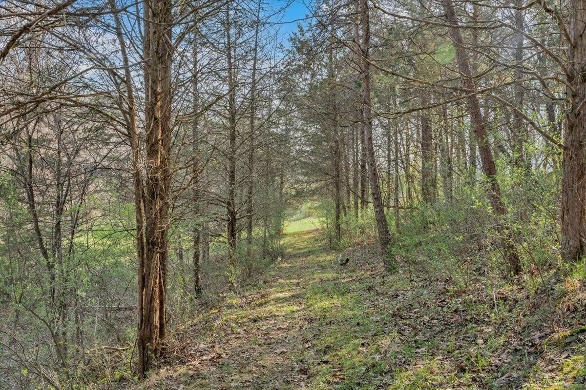 484 Mill Pointe RD - Photo 55
