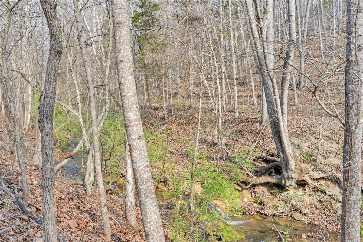 484 Mill Pointe RD - Photo 59