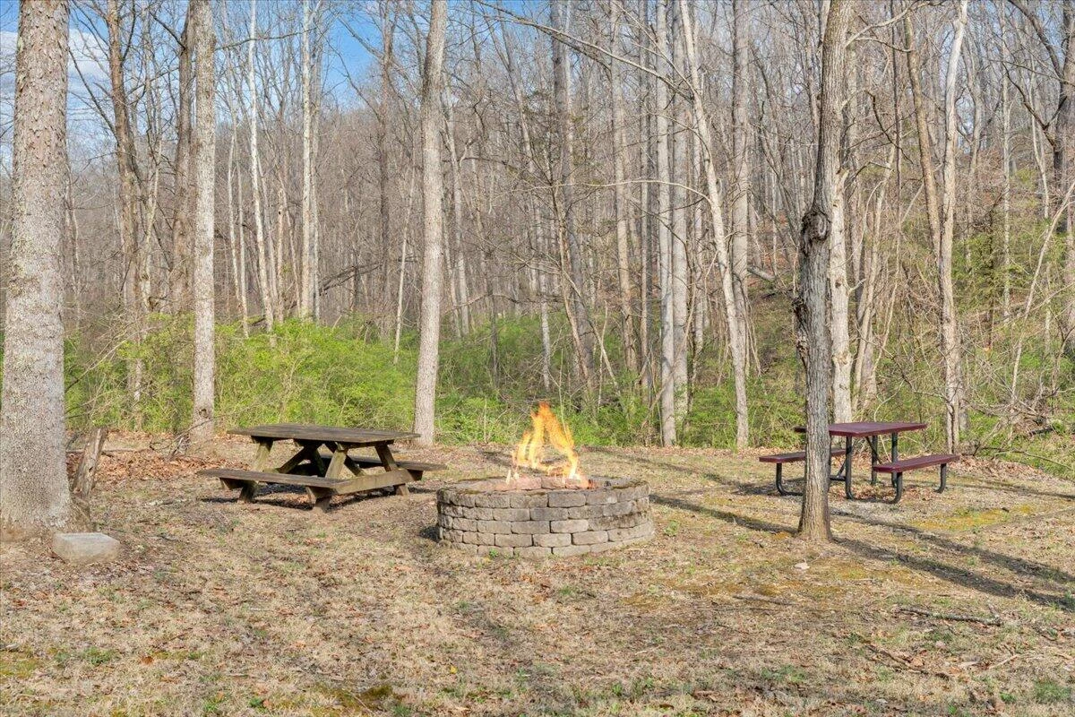 484 Mill Pointe RD - Photo 60