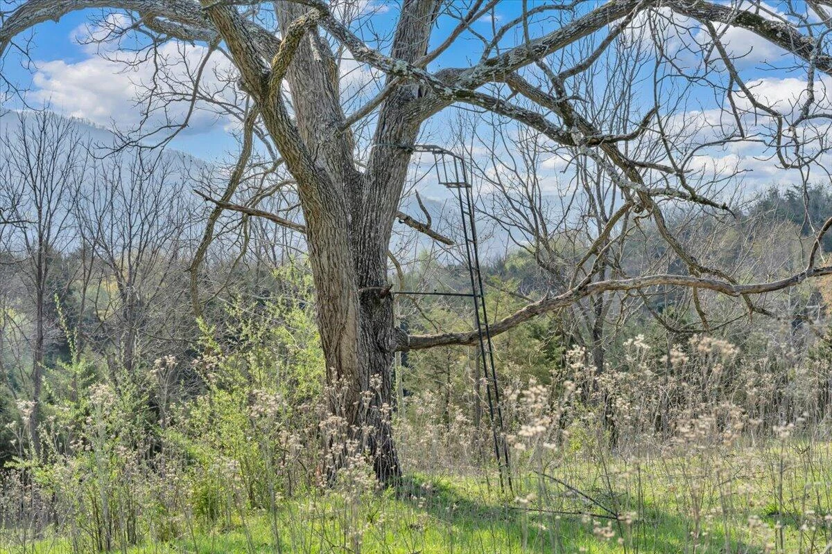 484 Mill Pointe RD - Photo 62