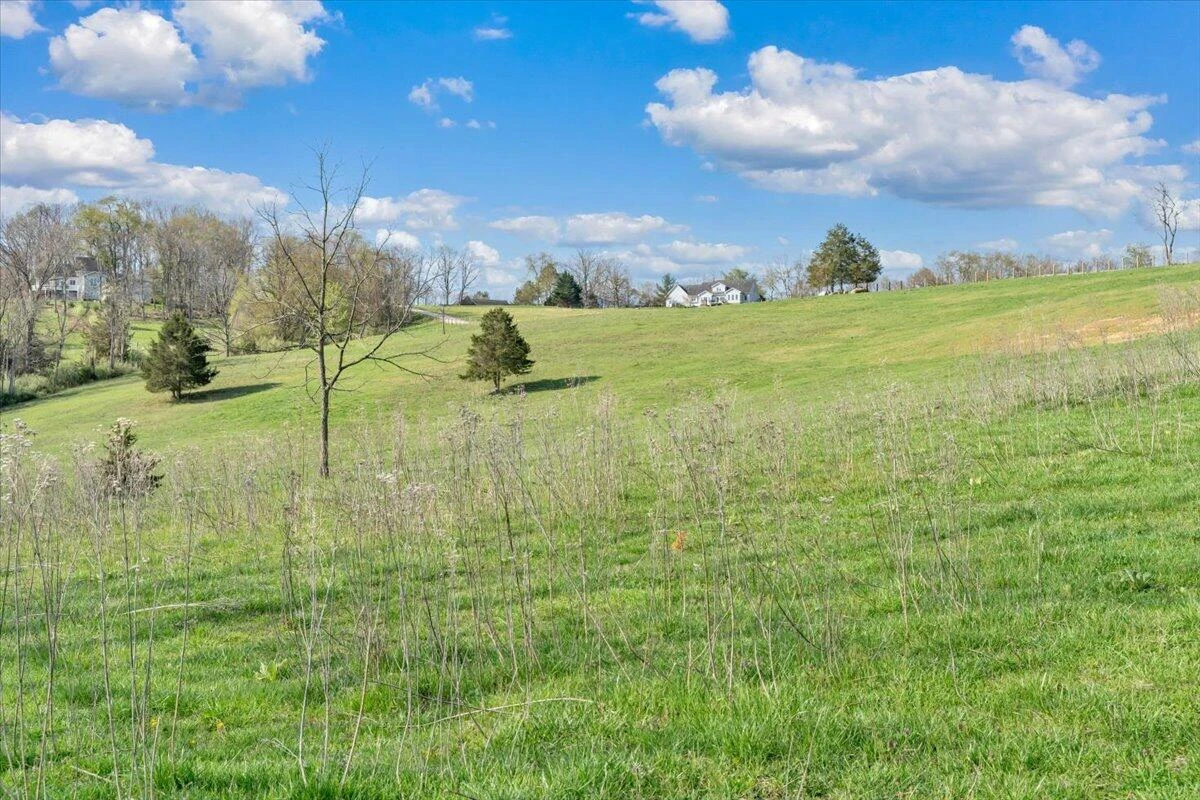 484 Mill Pointe RD - Photo 63
