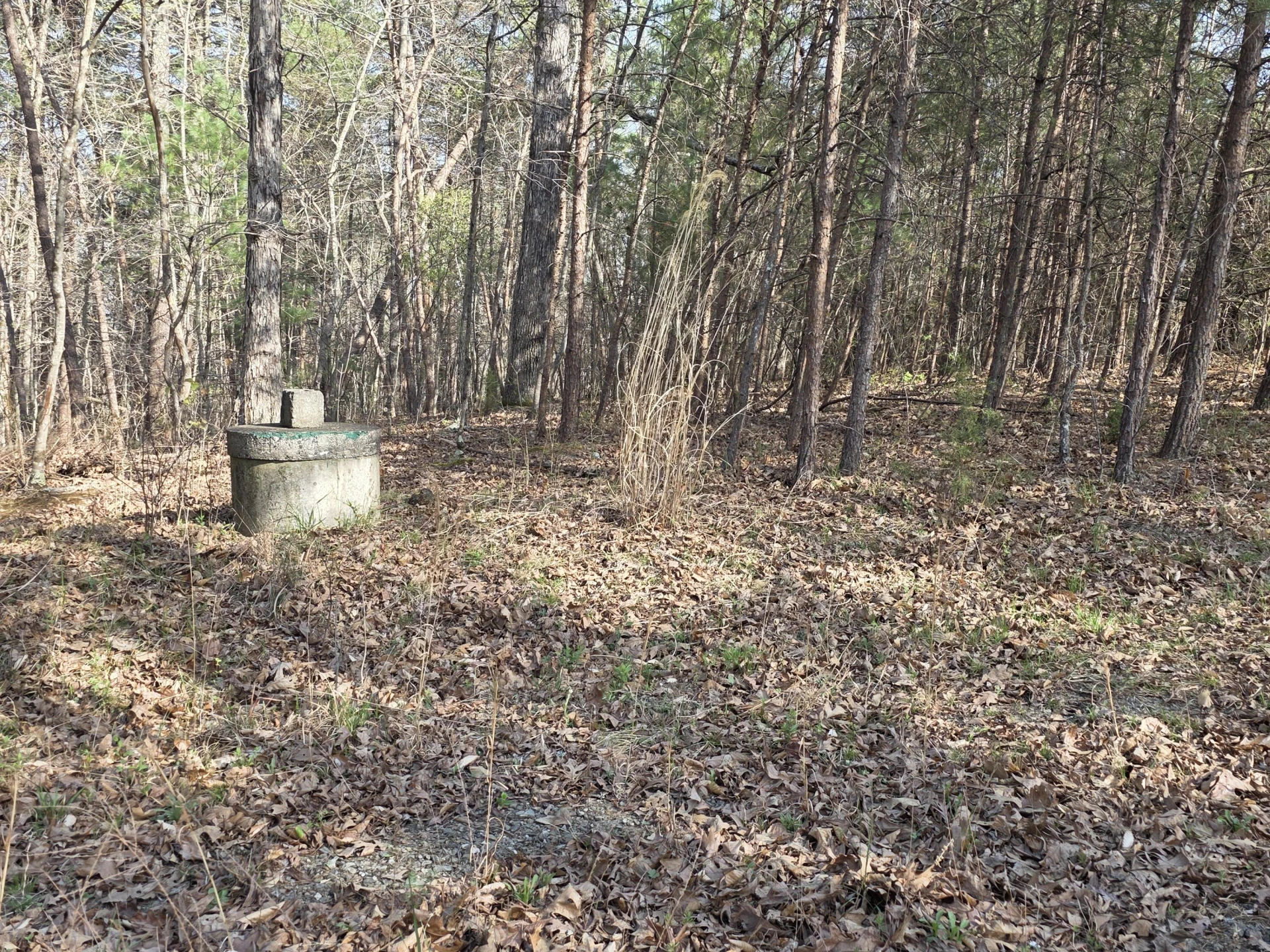 00 Knob Church RD - Photo 11