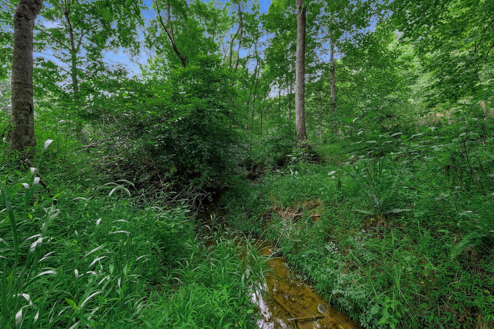2021 Diamond Hill RD - Photo 43