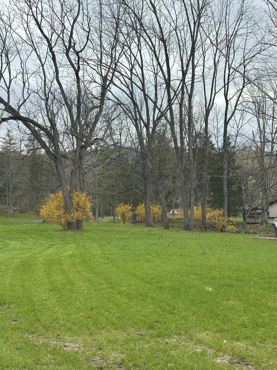 800 E Morris Hill RD - Photo 101