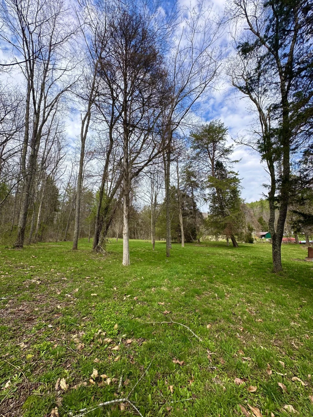 800 E Morris Hill RD - Photo 104