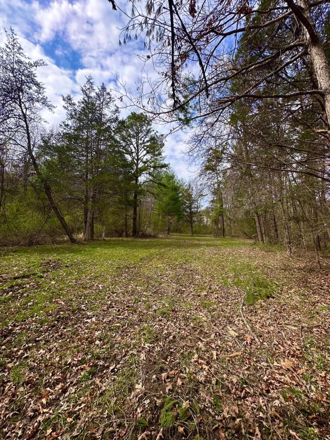 800 E Morris Hill RD - Photo 108