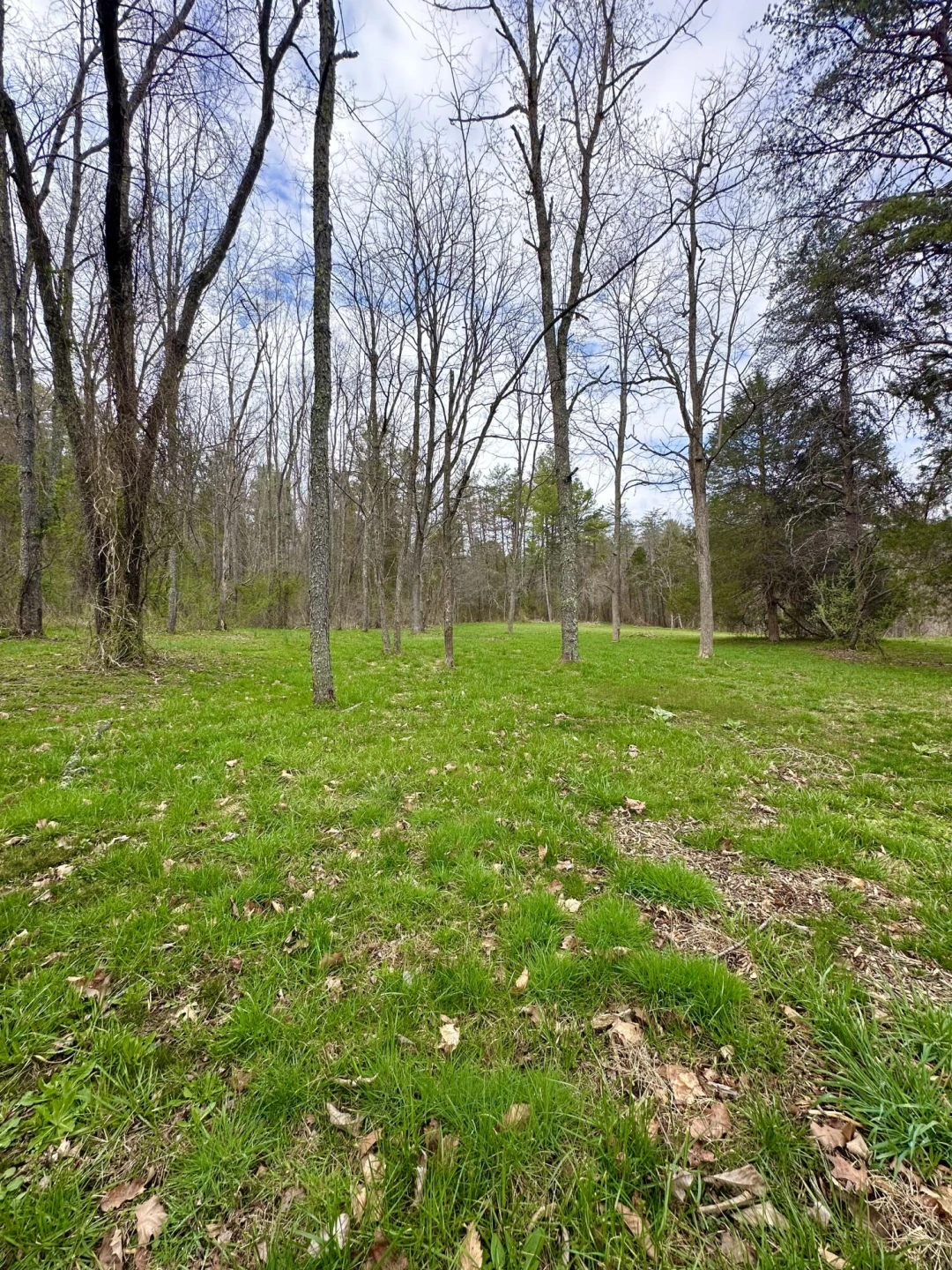 800 E Morris Hill RD - Photo 111
