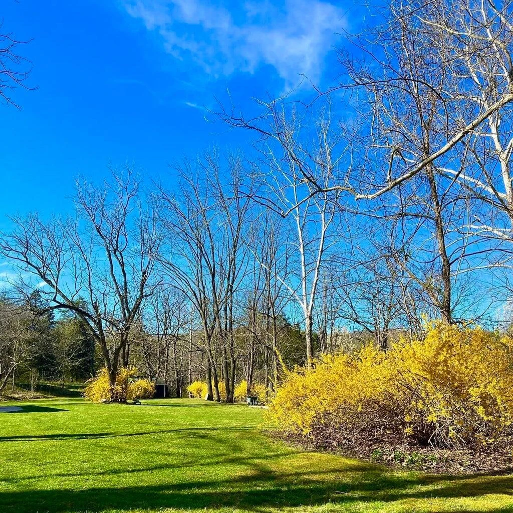 800 E Morris Hill RD - Photo 126