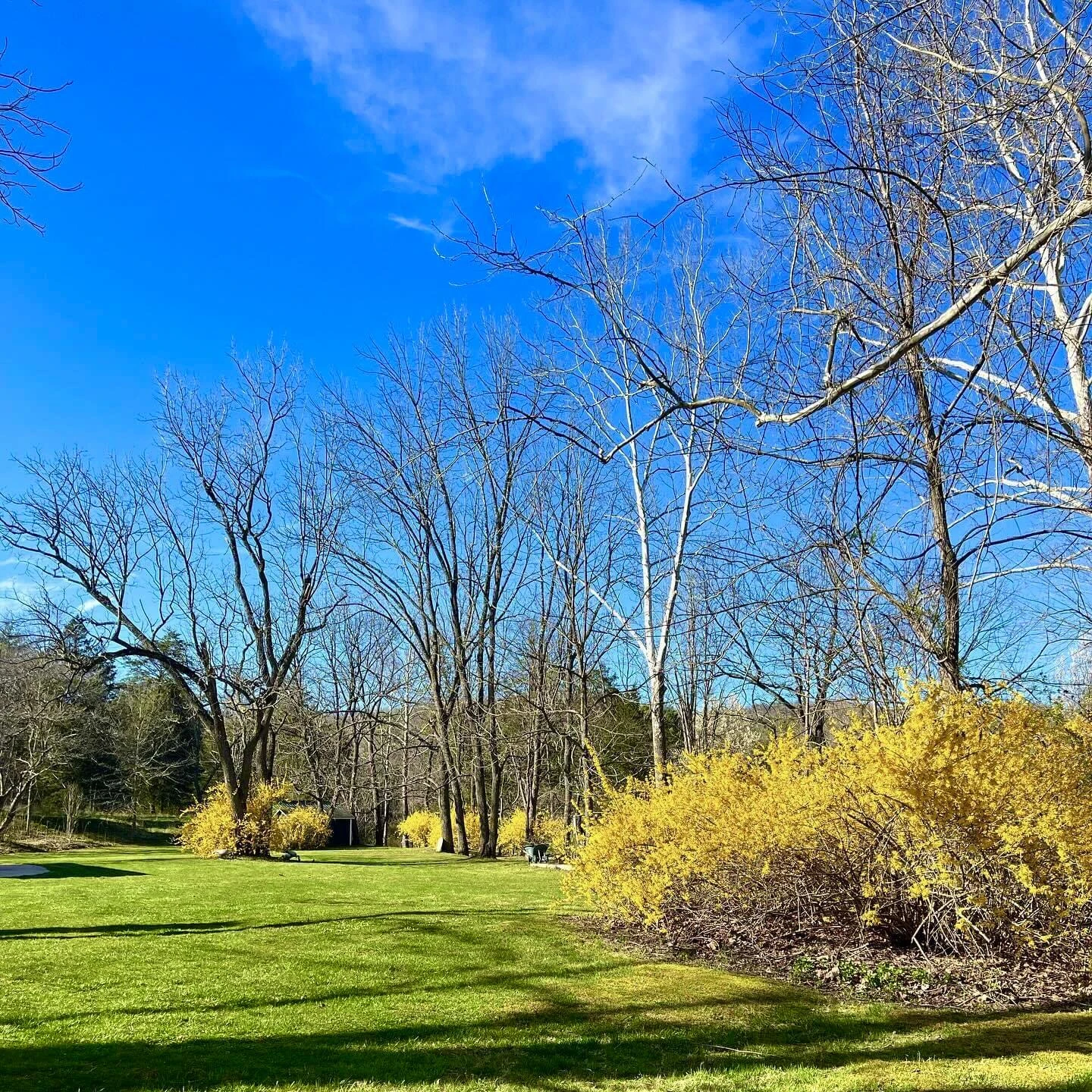 800 E Morris Hill RD - Photo 23