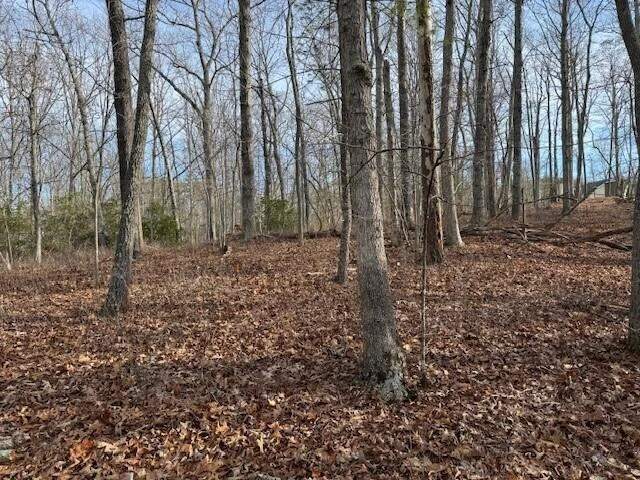 Lot 48 Old Mill DR