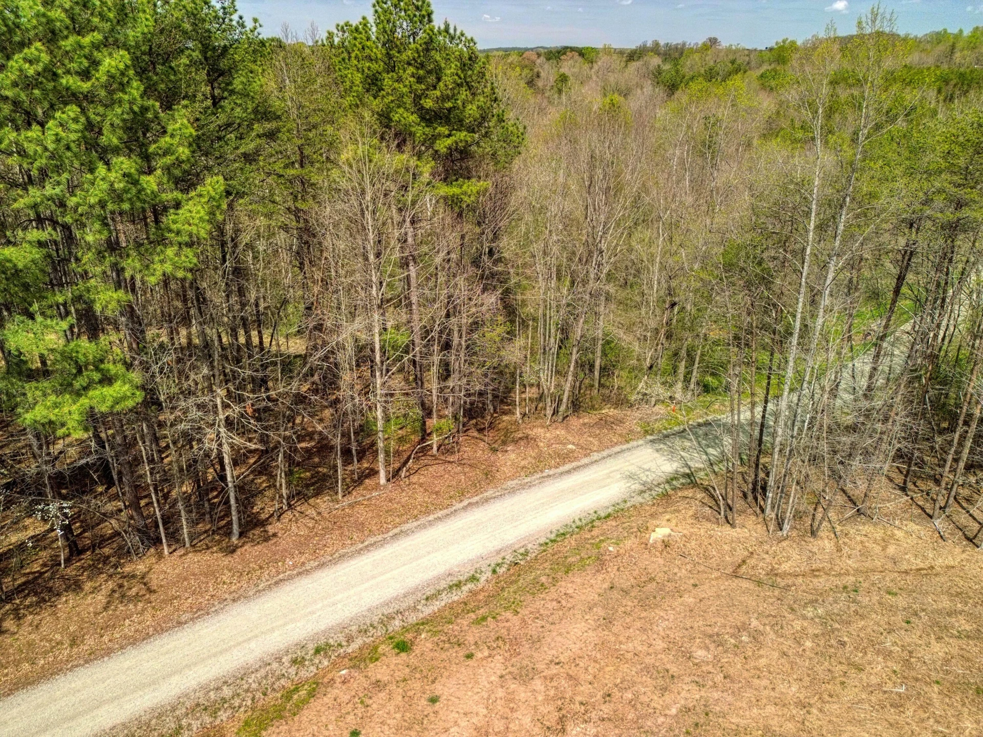 Lot 10 Woodview DR - Photo 2