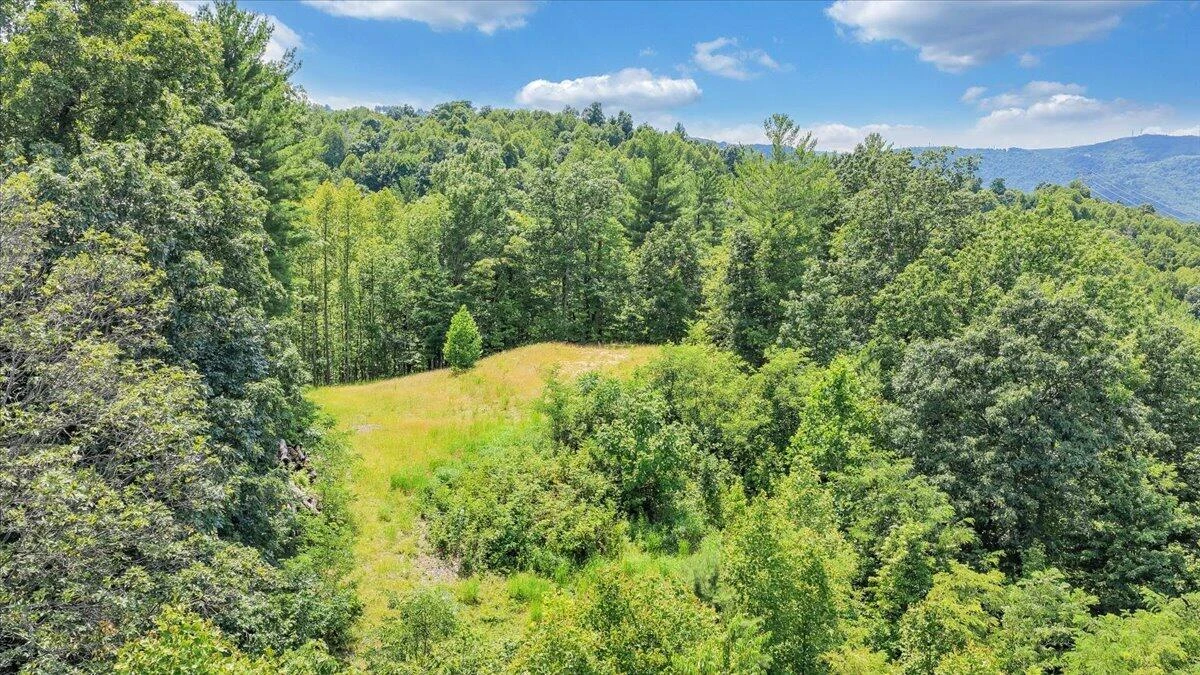 0 Whistler DR - Photo 30