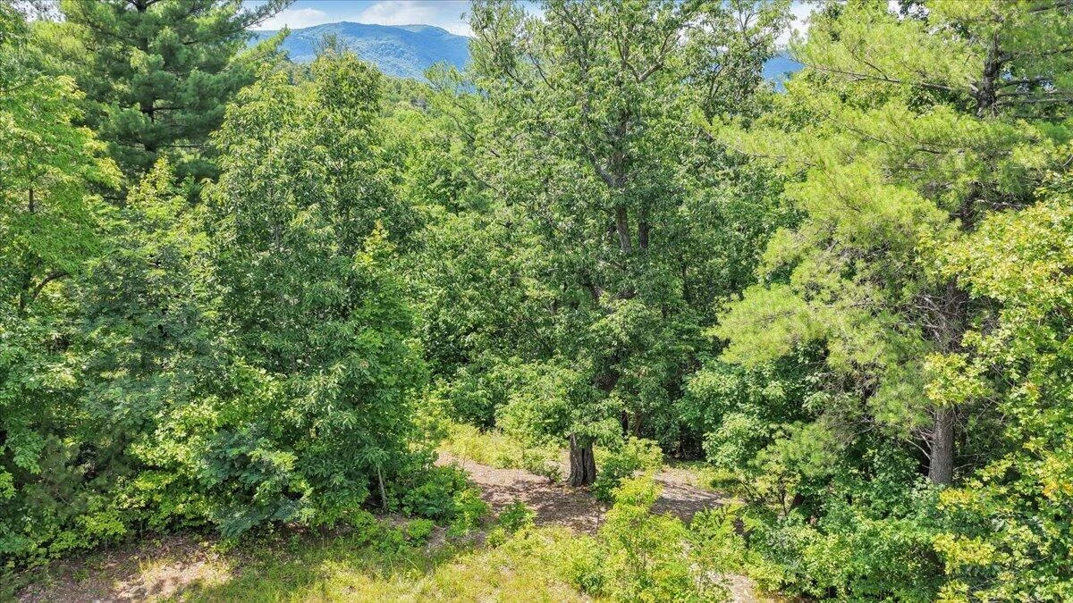 0 Whistler DR - Photo 33