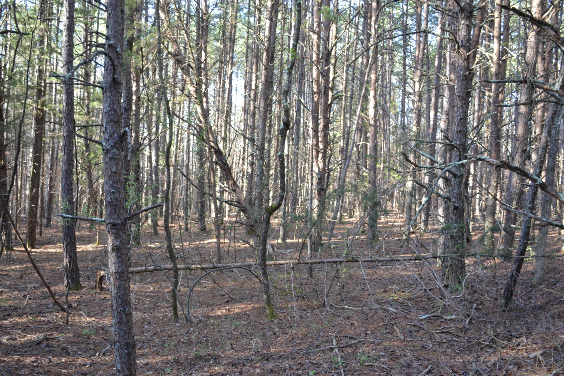 15796 E Gretna RD - Photo 20