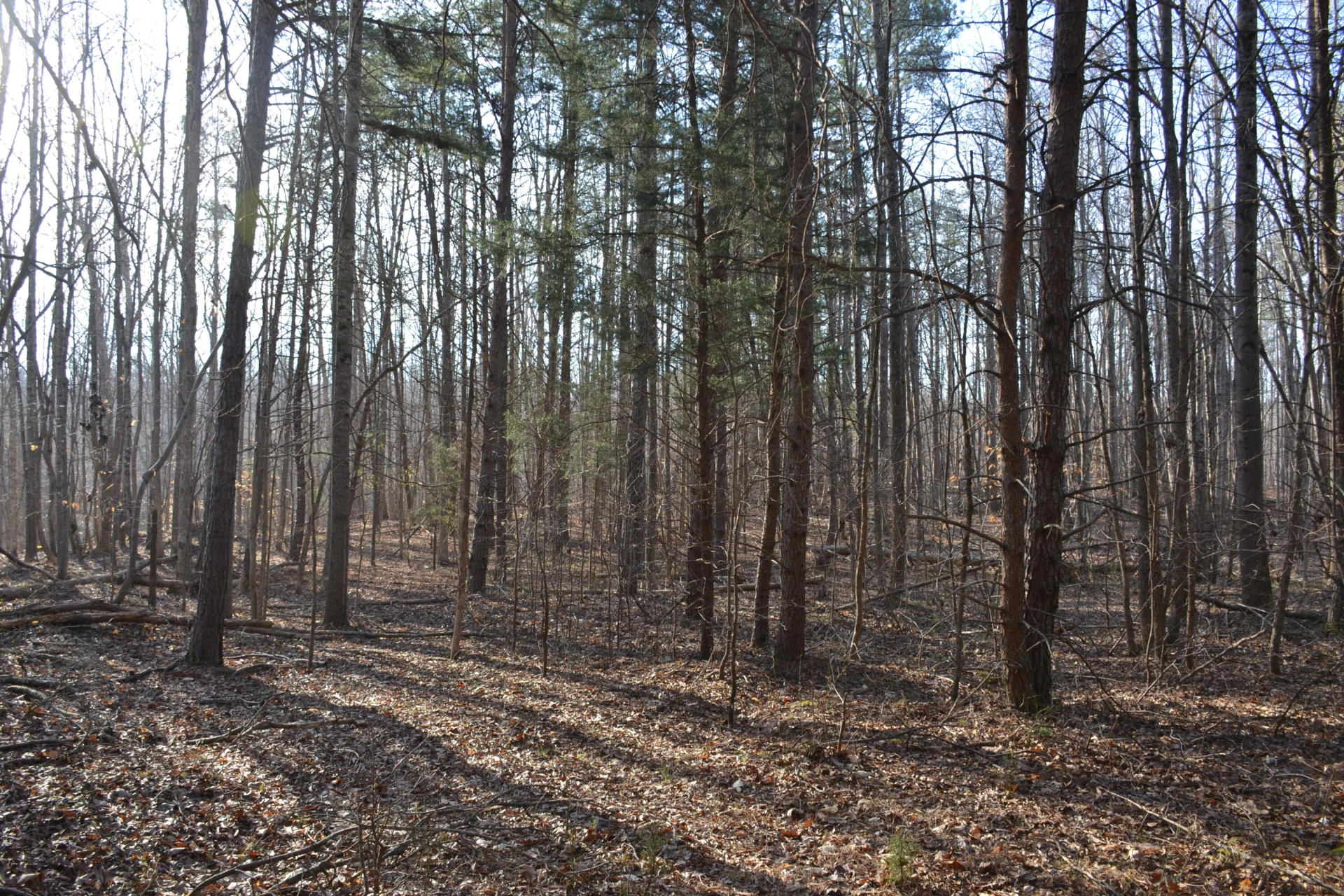 15796 E Gretna RD - Photo 21