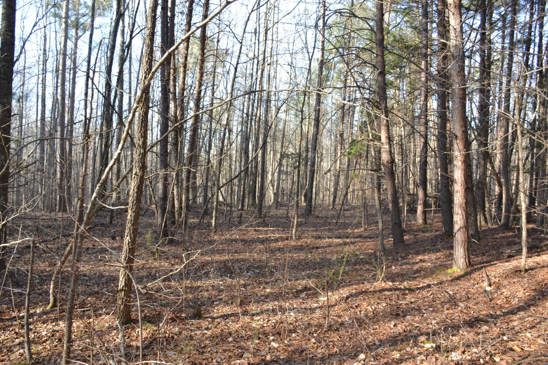 15796 E Gretna RD - Photo 22