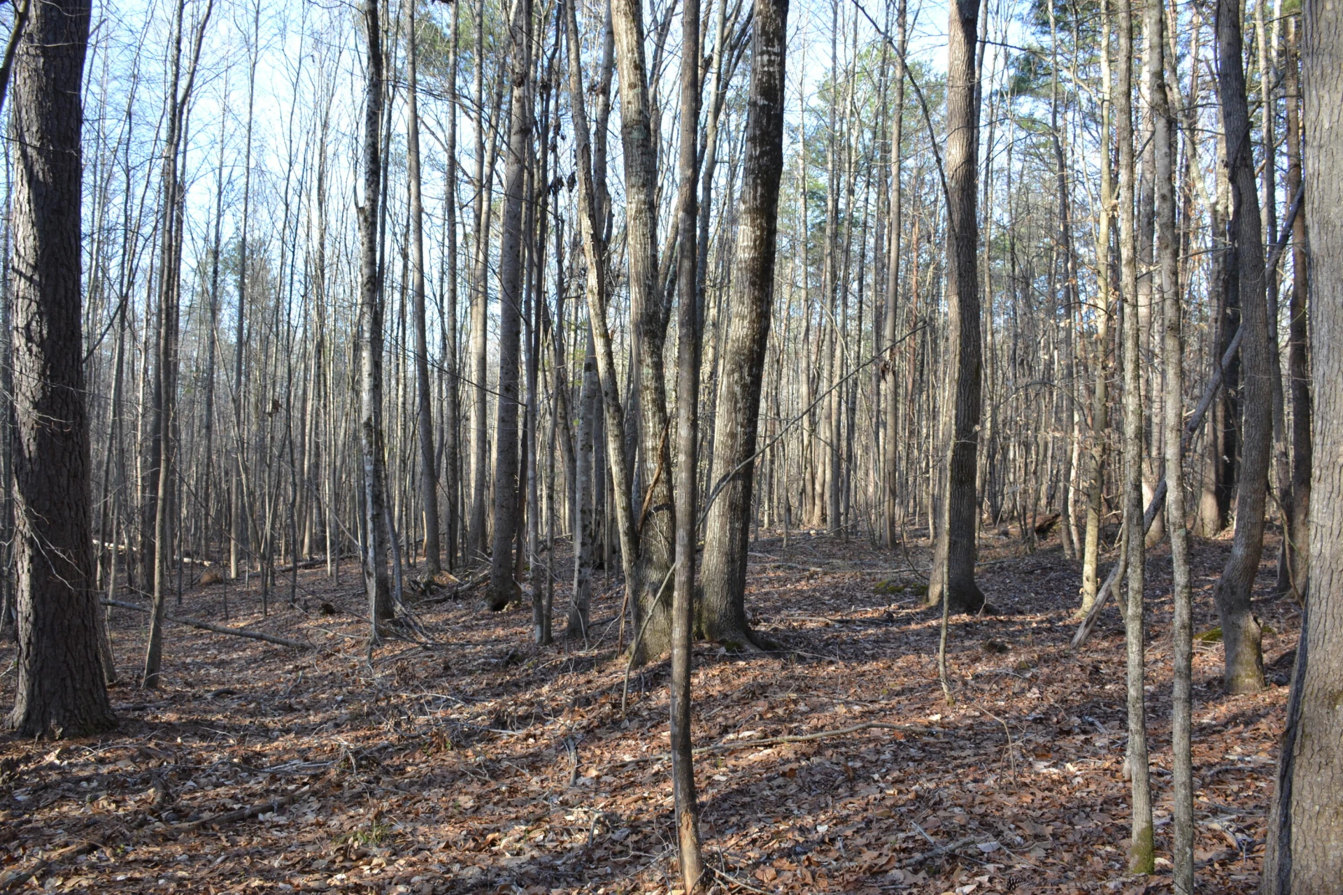 15796 E Gretna RD - Photo 23