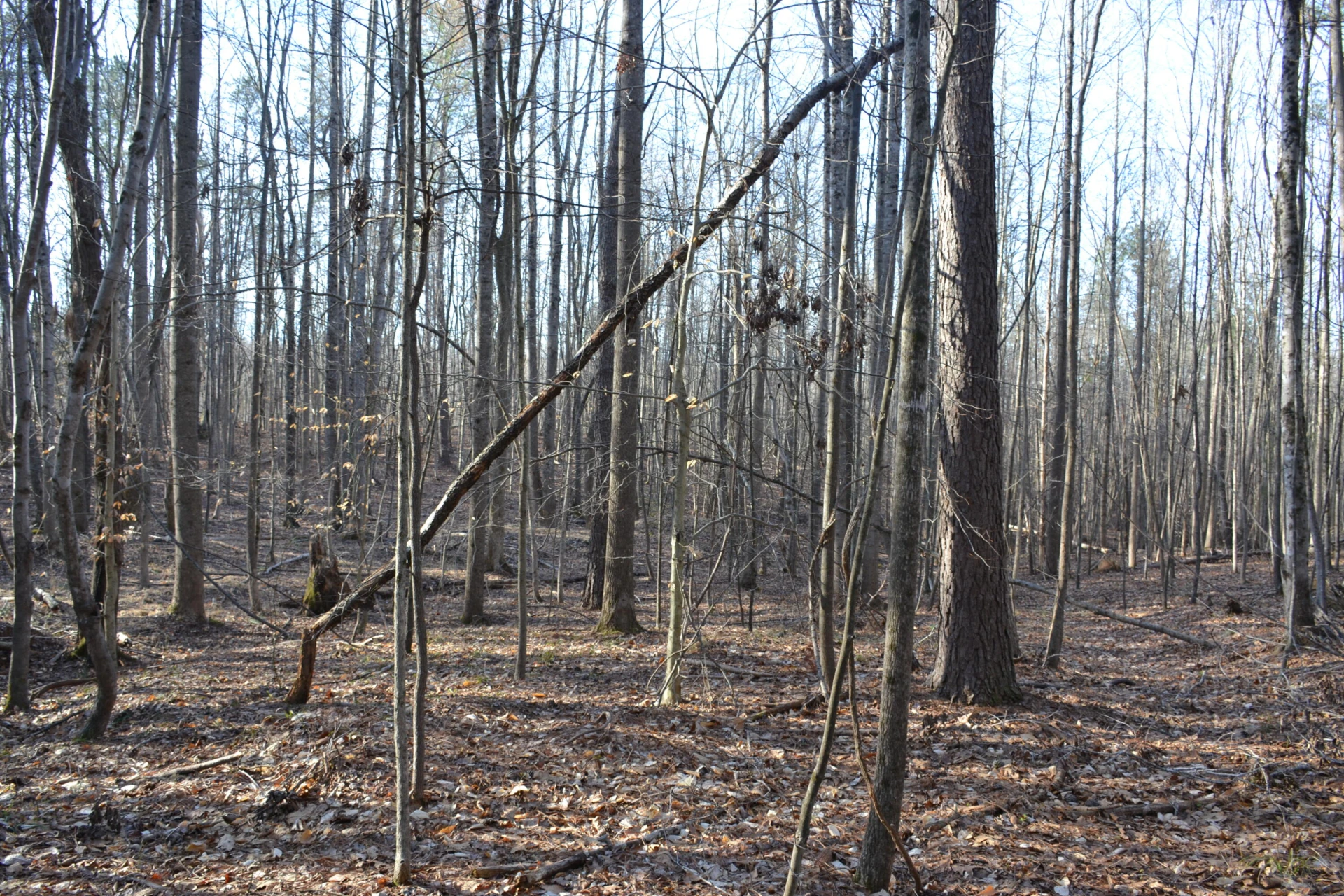 15796 E Gretna RD - Photo 24