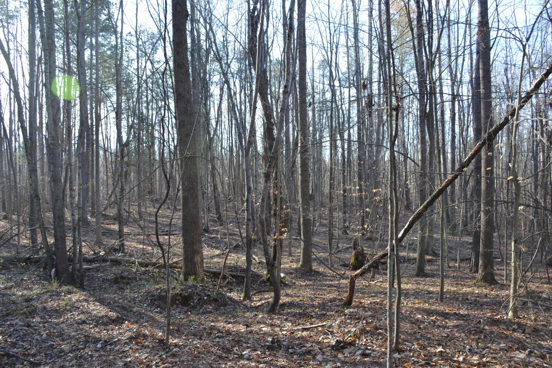15796 E Gretna RD - Photo 25