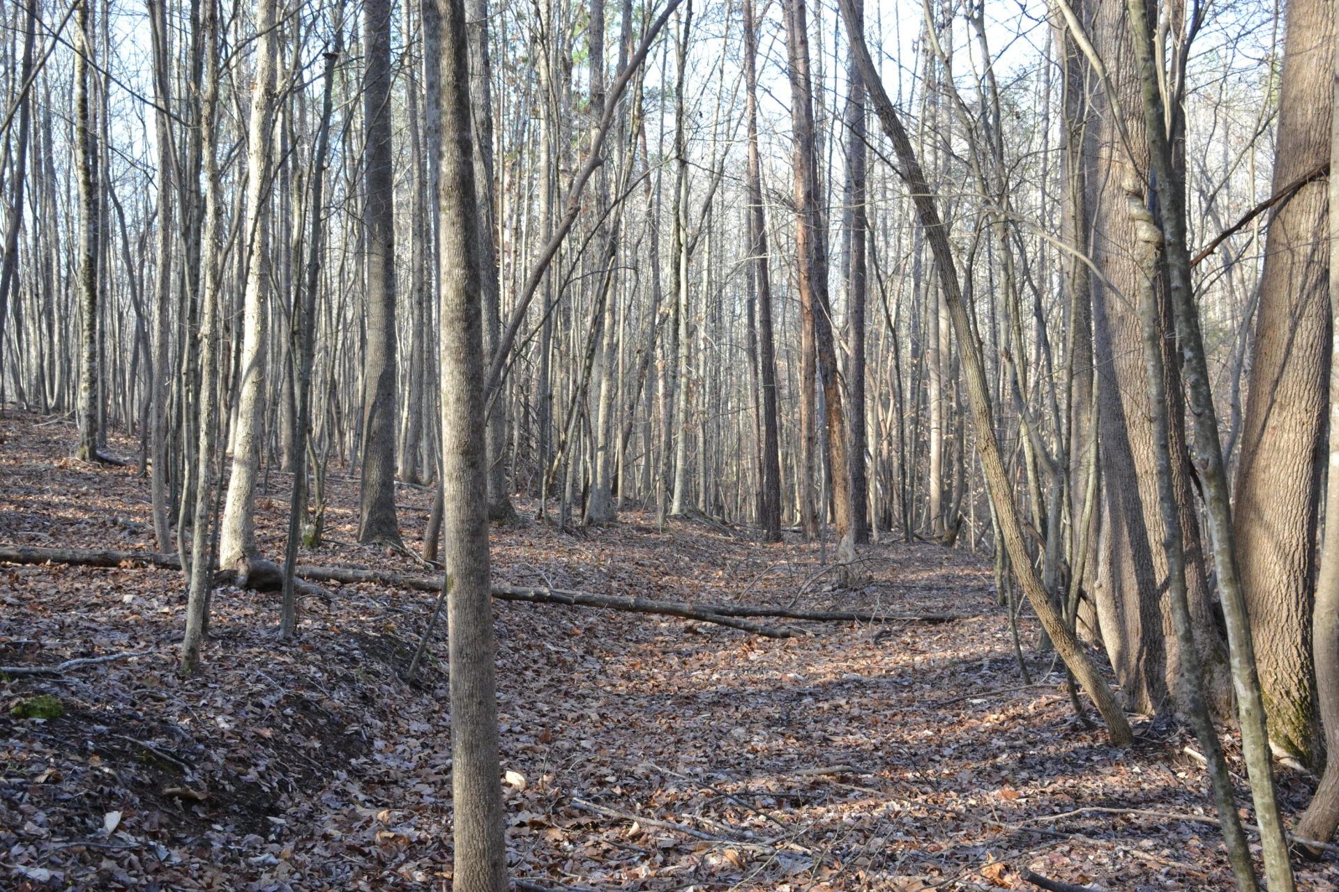 15796 E Gretna RD - Photo 27