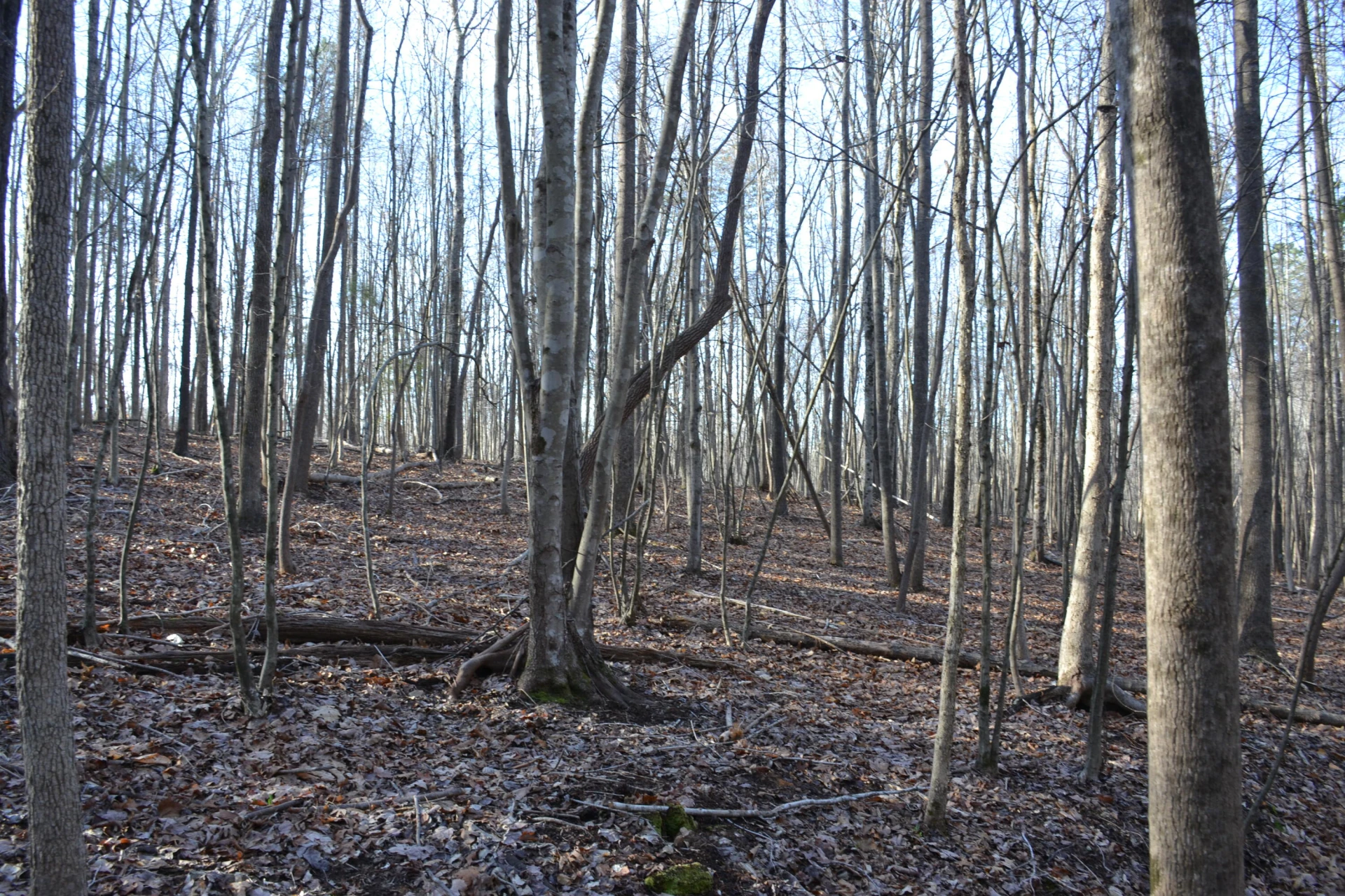 15796 E Gretna RD - Photo 28
