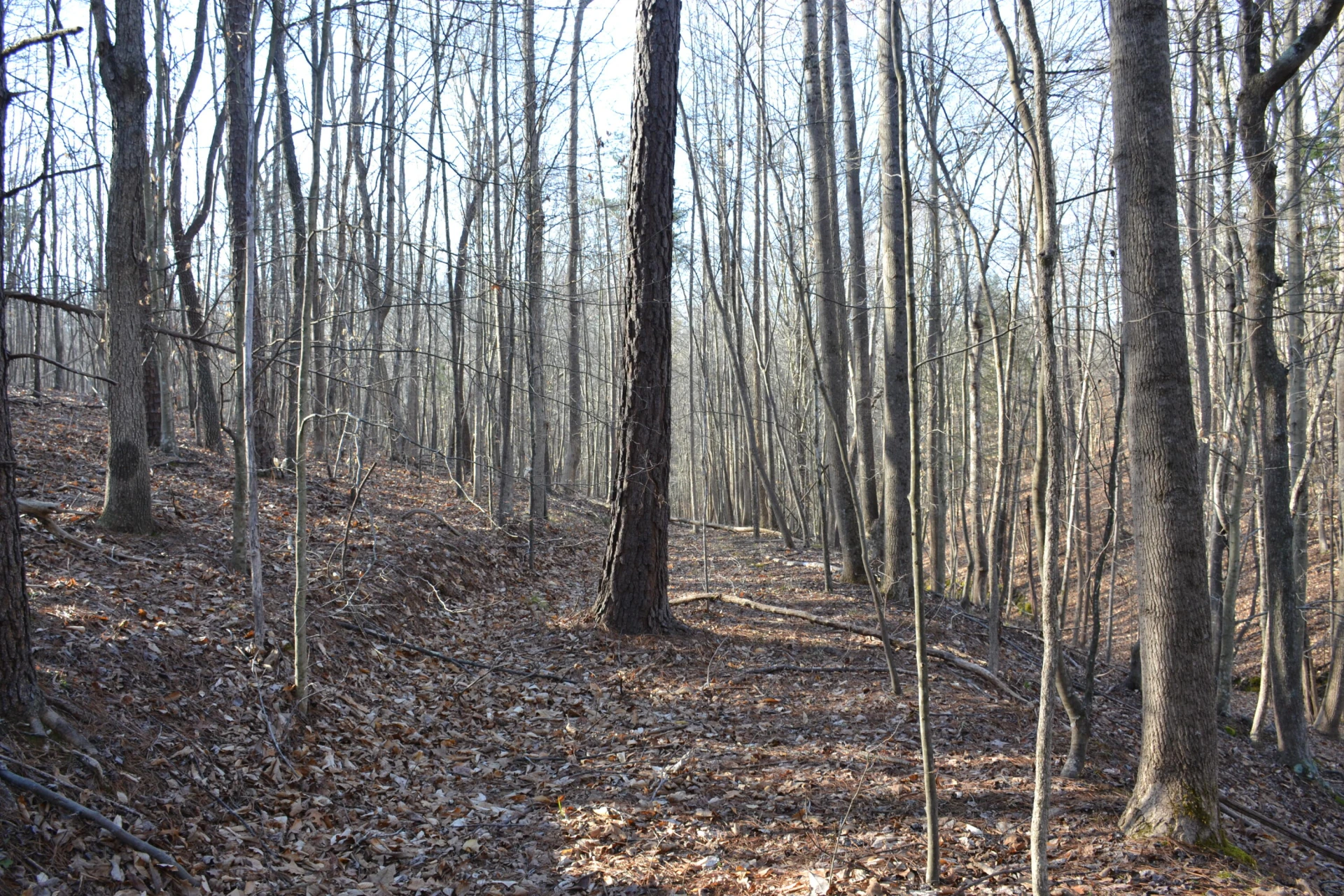 15796 E Gretna RD - Photo 29