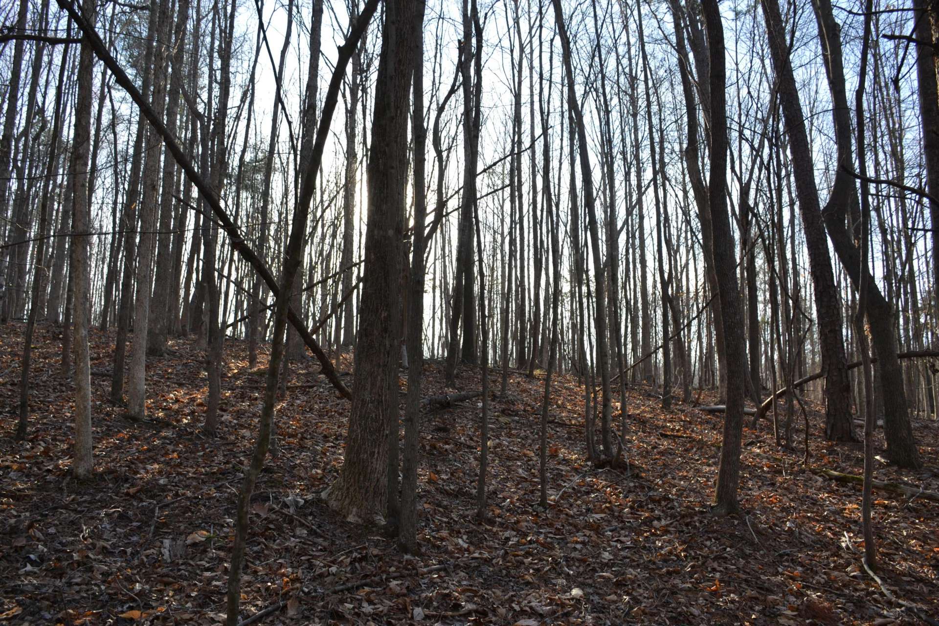 15796 E Gretna RD - Photo 30