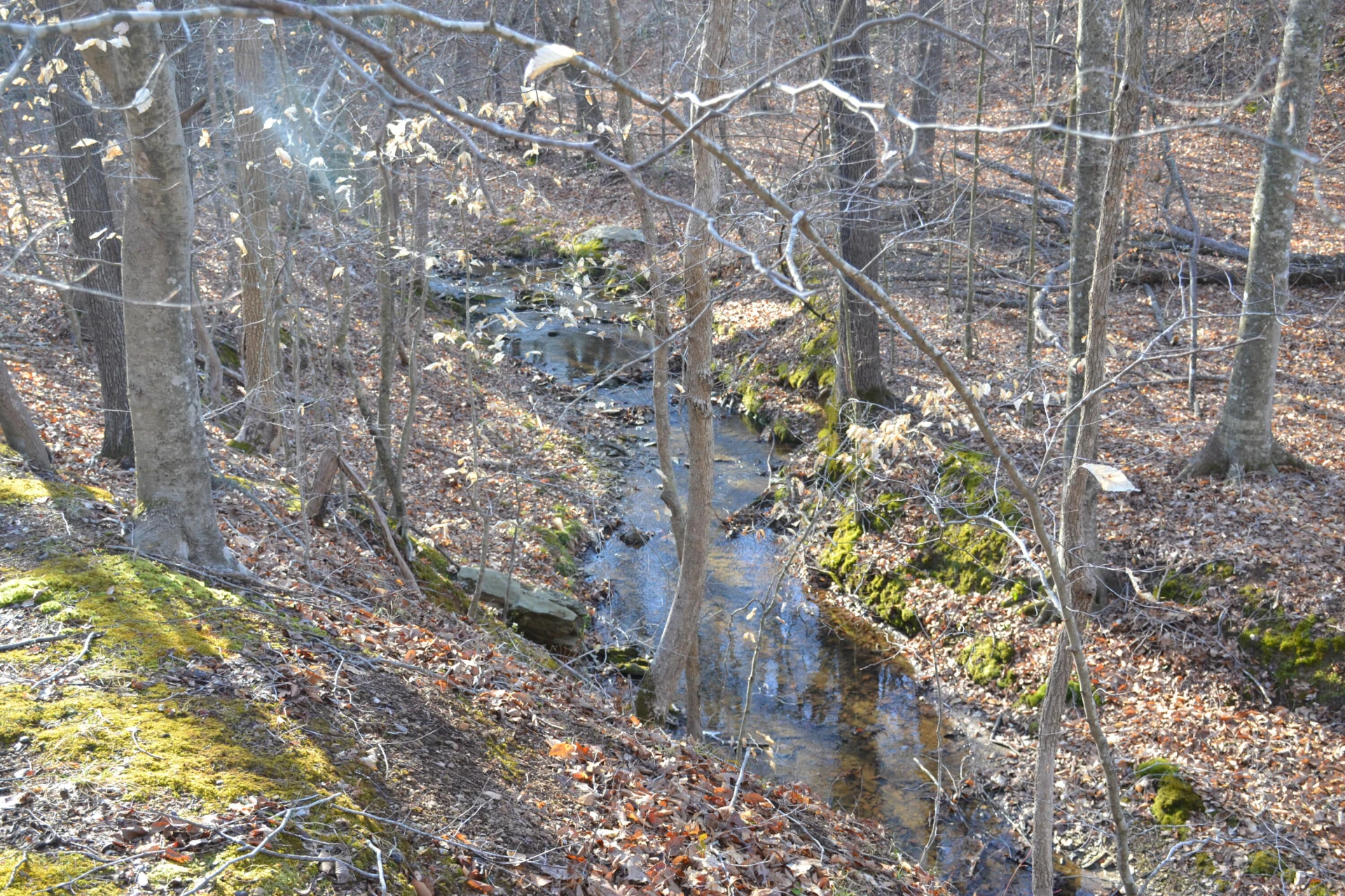 15796 E Gretna RD - Photo 32