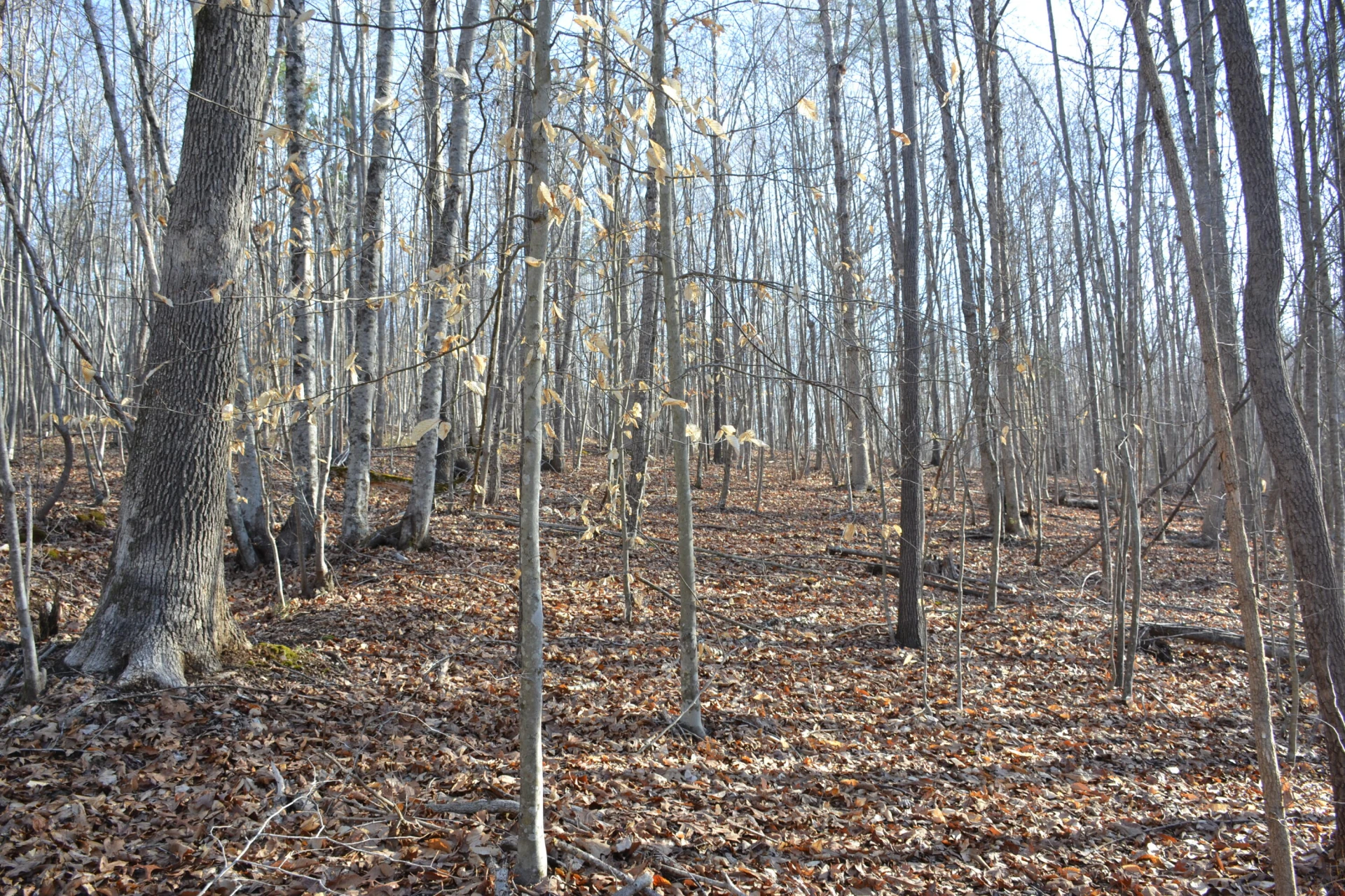 15796 E Gretna RD - Photo 35