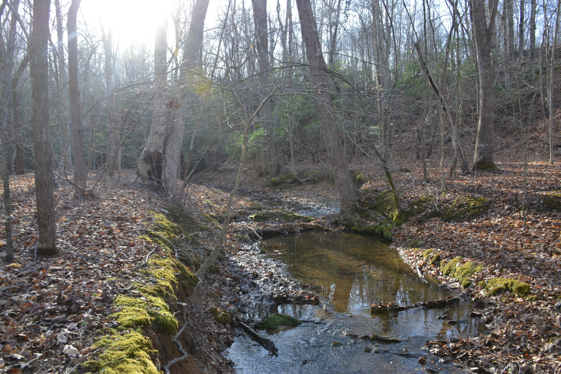 15796 E Gretna RD - Photo 36