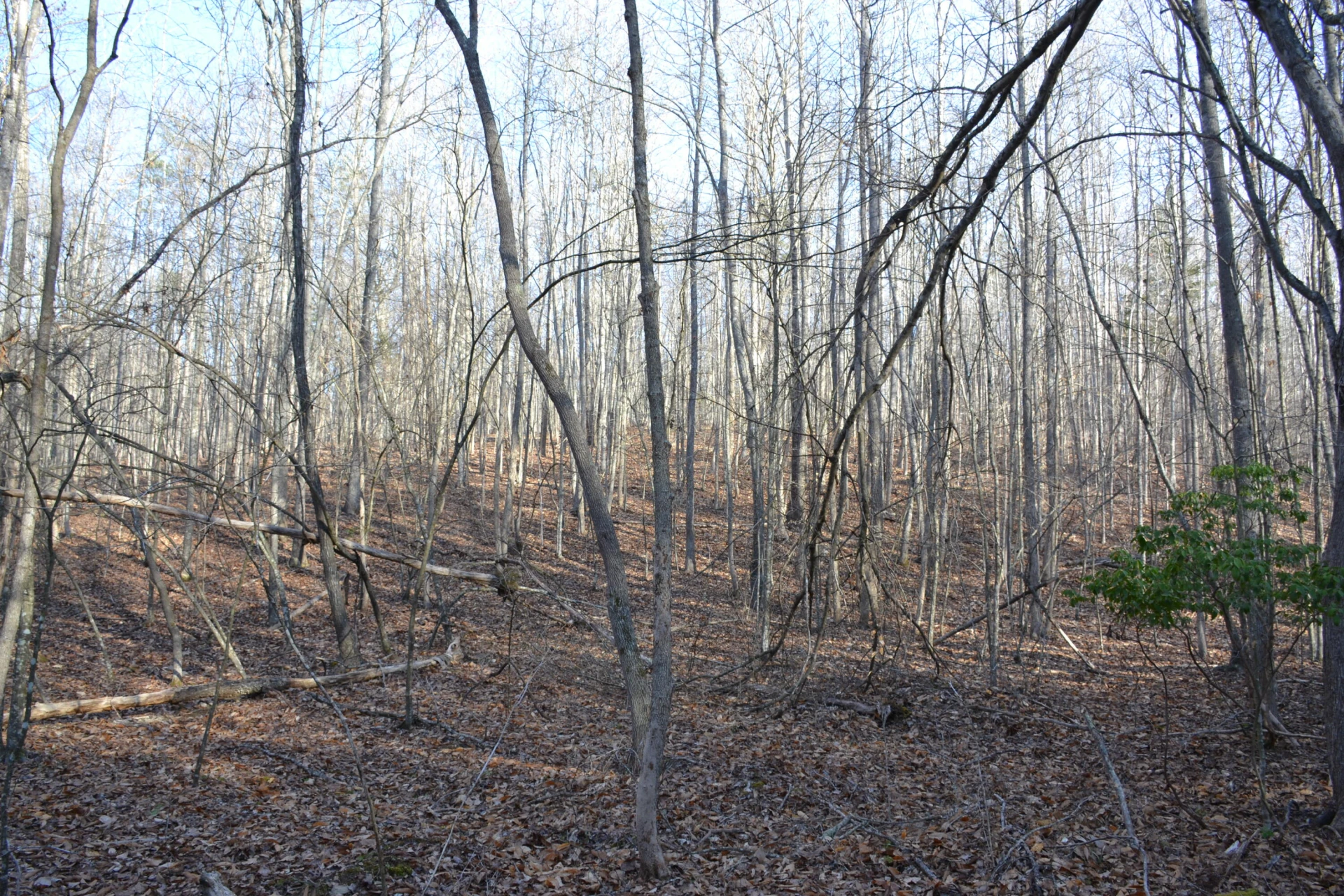 15796 E Gretna RD - Photo 39