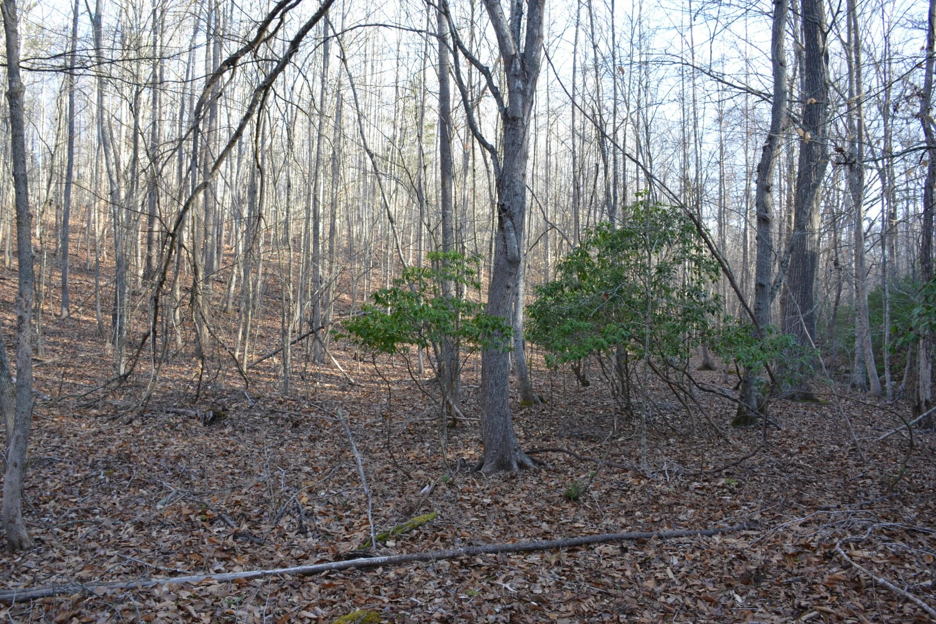 15796 E Gretna RD - Photo 40