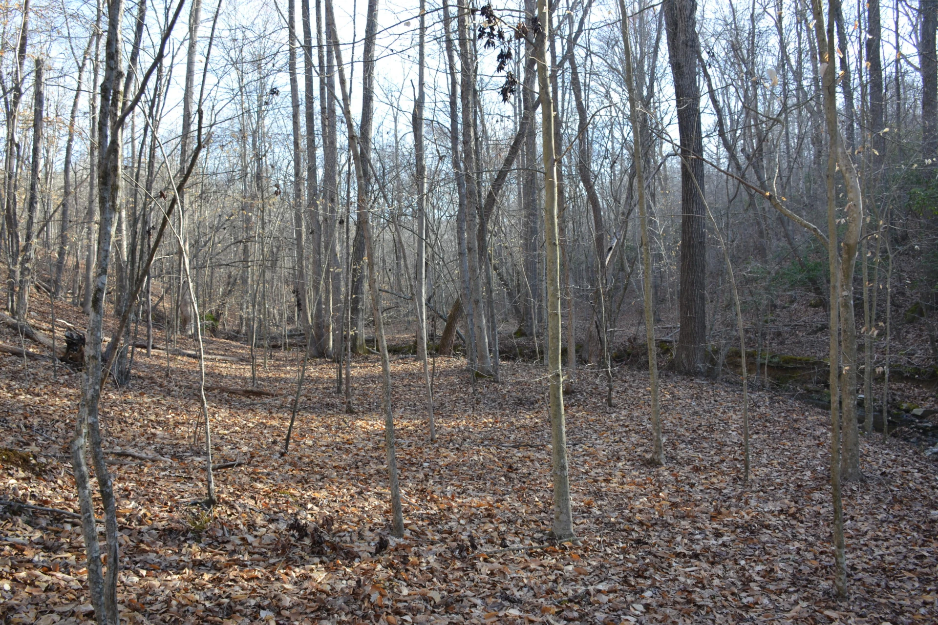 15796 E Gretna RD - Photo 44