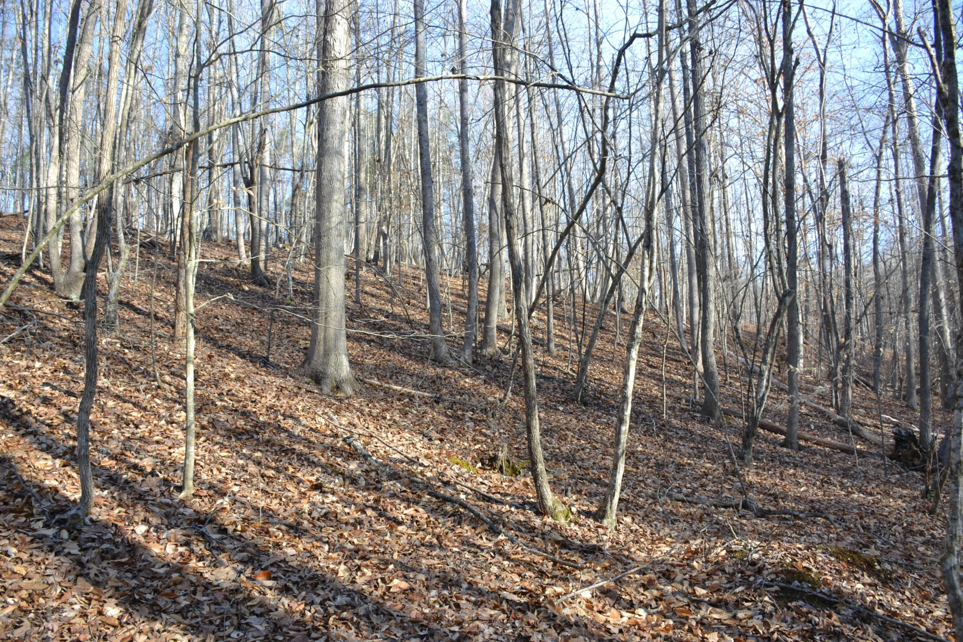 15796 E Gretna RD - Photo 45