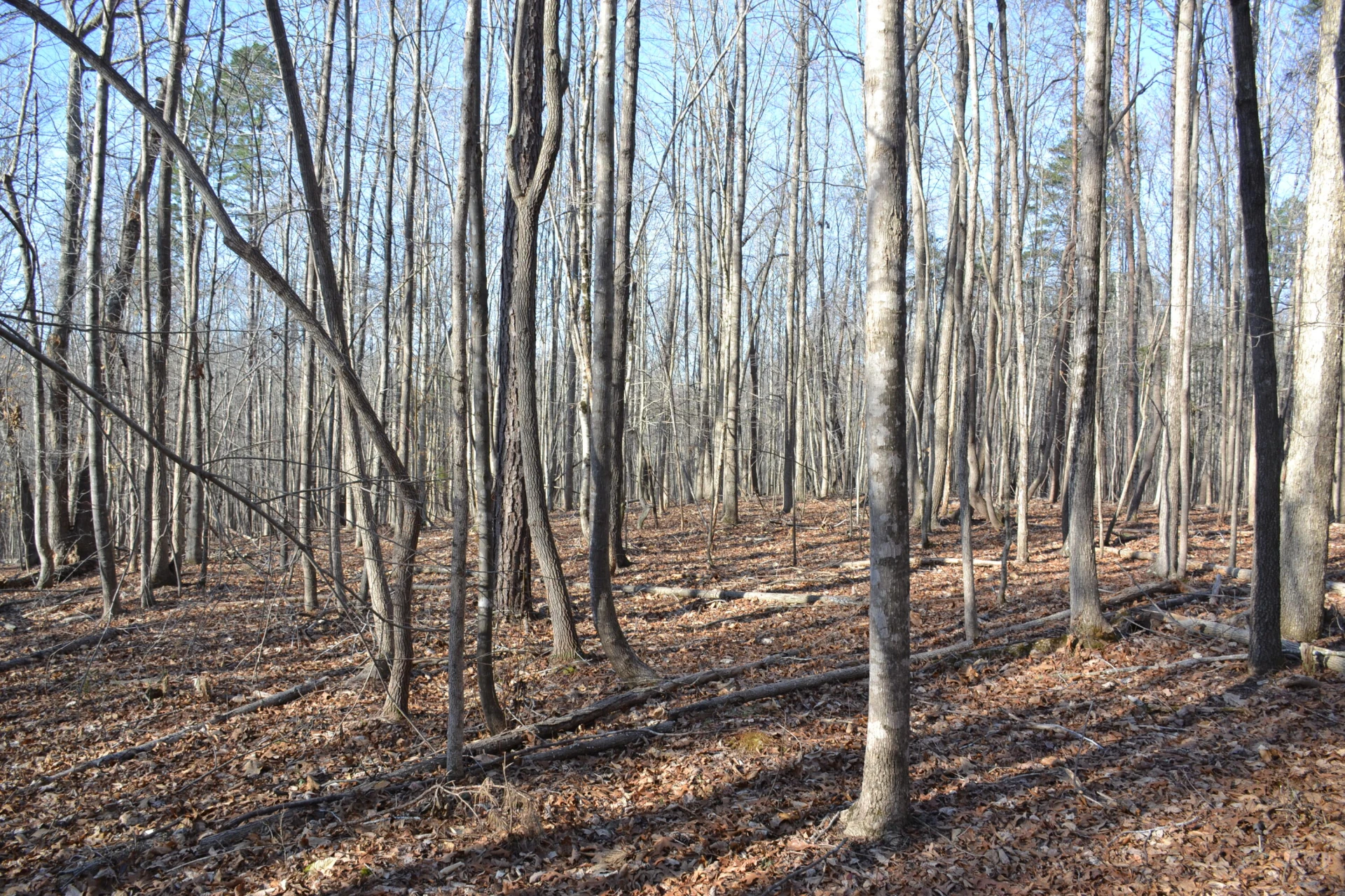 15796 E Gretna RD - Photo 46