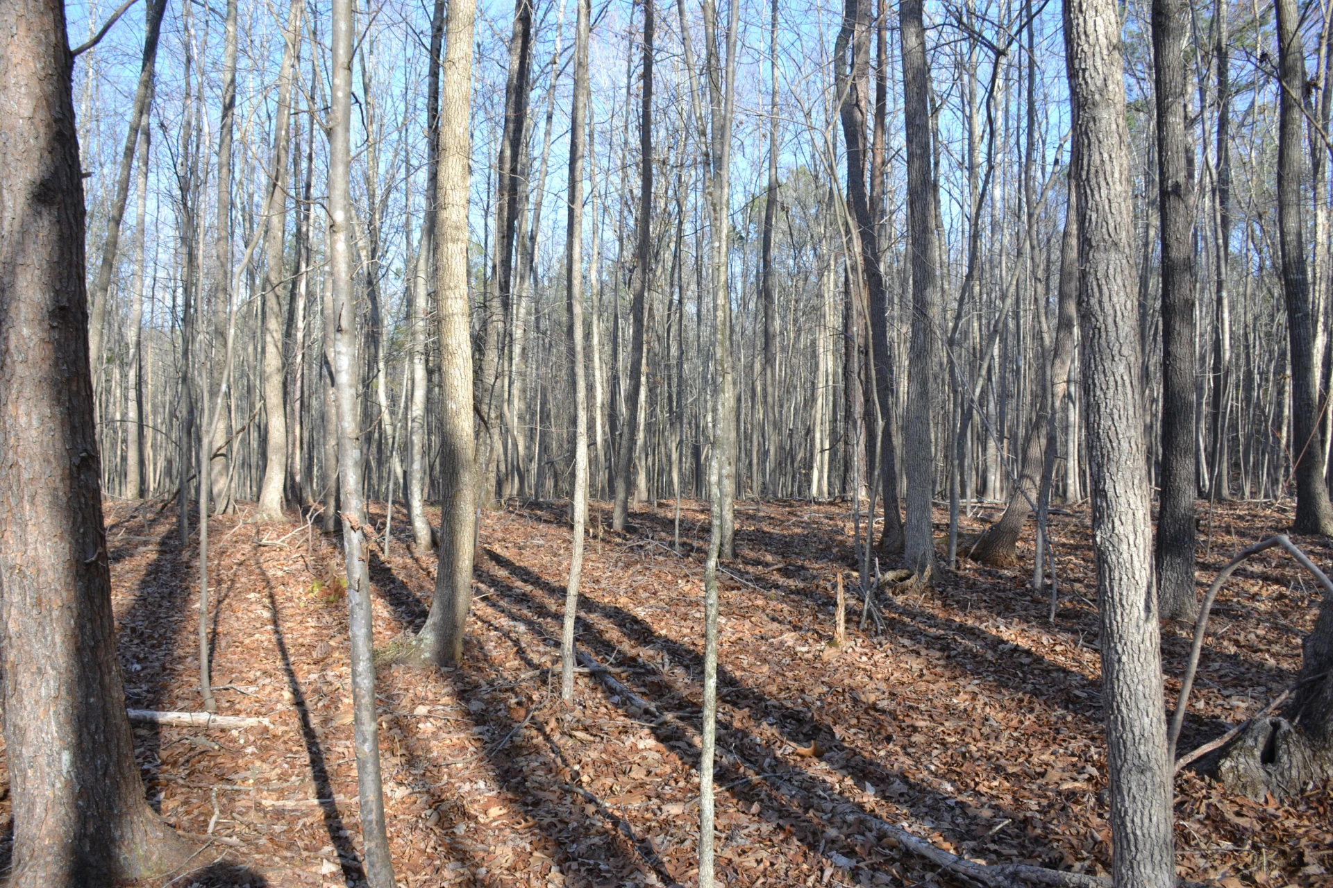 15796 E Gretna RD - Photo 47