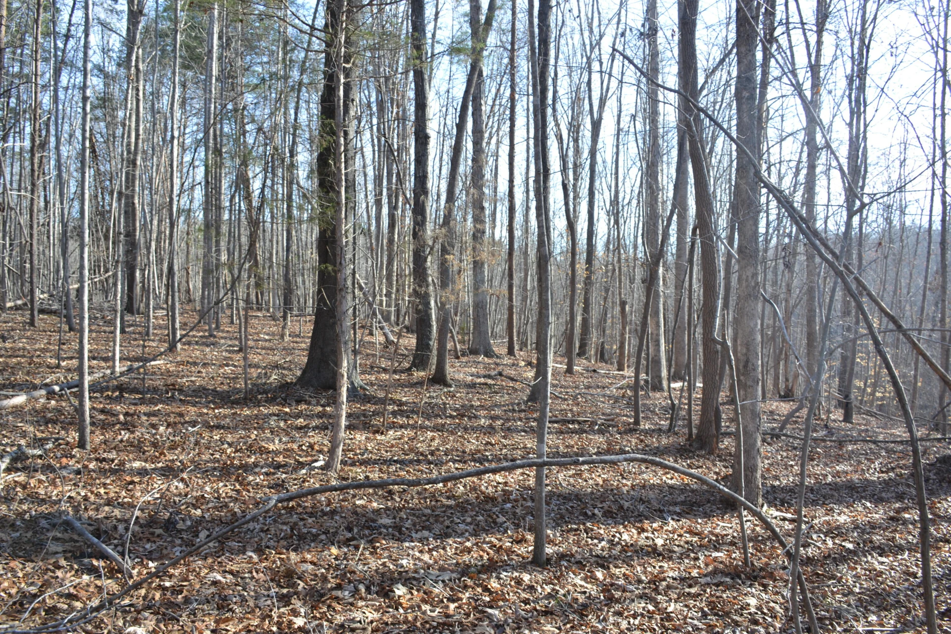 15796 E Gretna RD - Photo 48