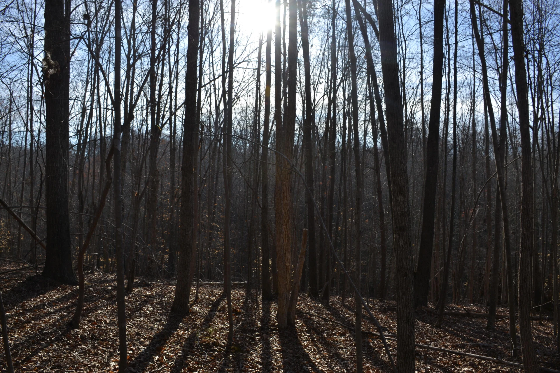 15796 E Gretna RD - Photo 49